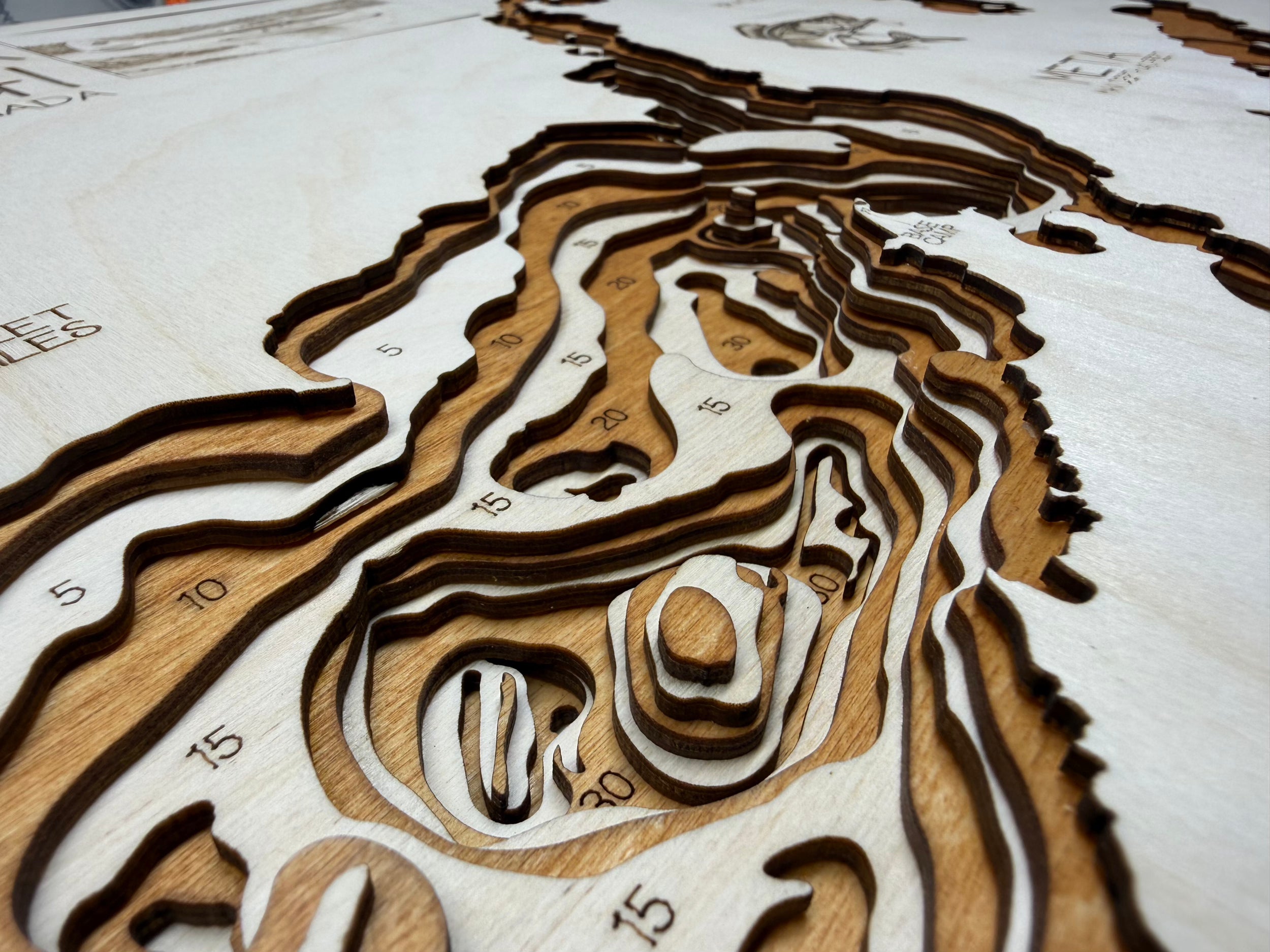 Wooden topographic model of a landscape with contour lines