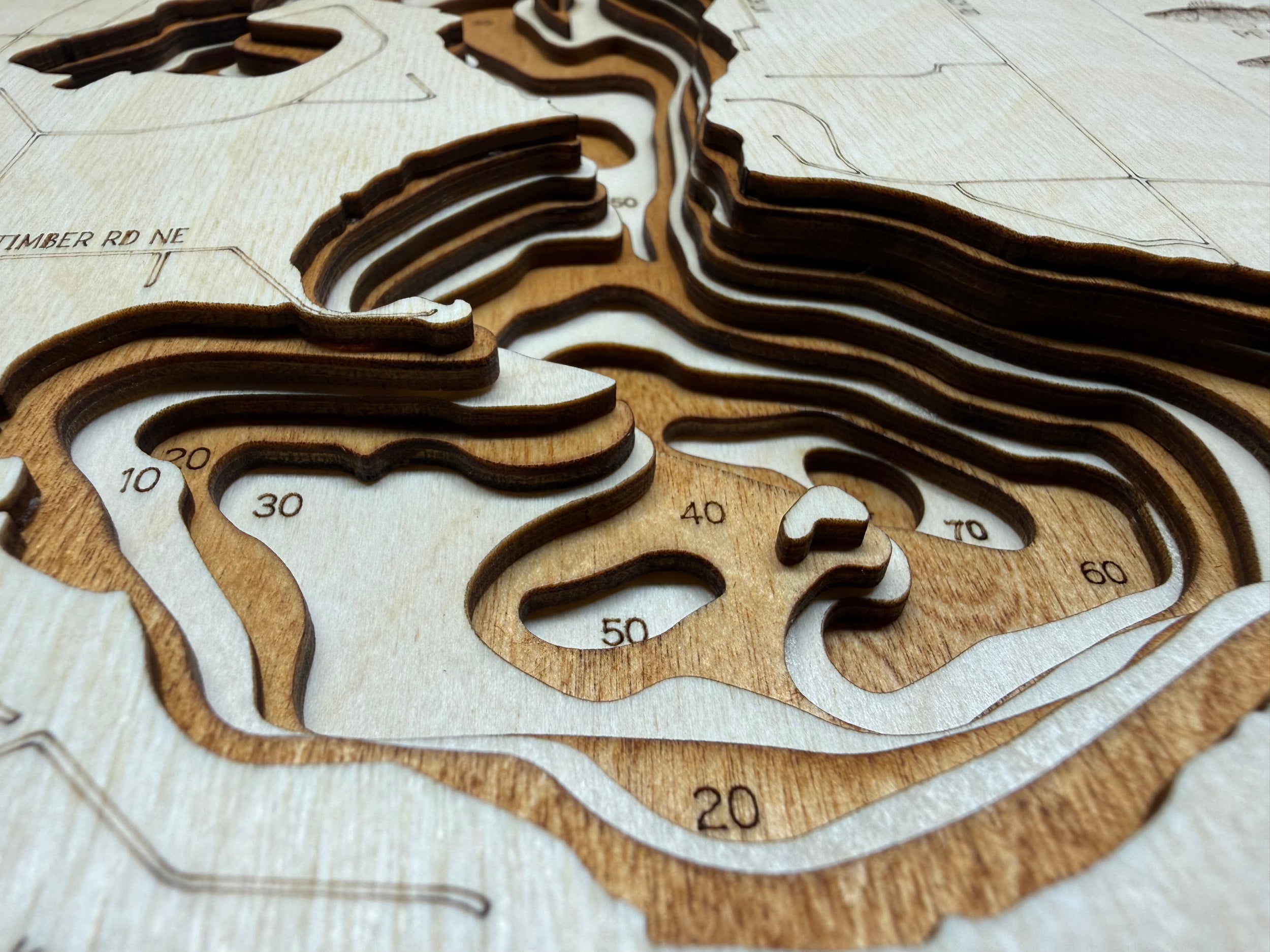 Bay Lake detail: fine laser work in Baltic Birch layers