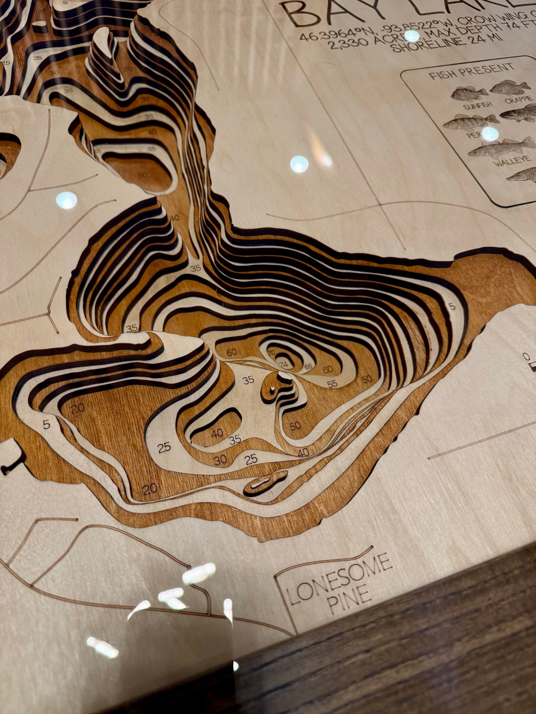 Bay Lake Map - Table