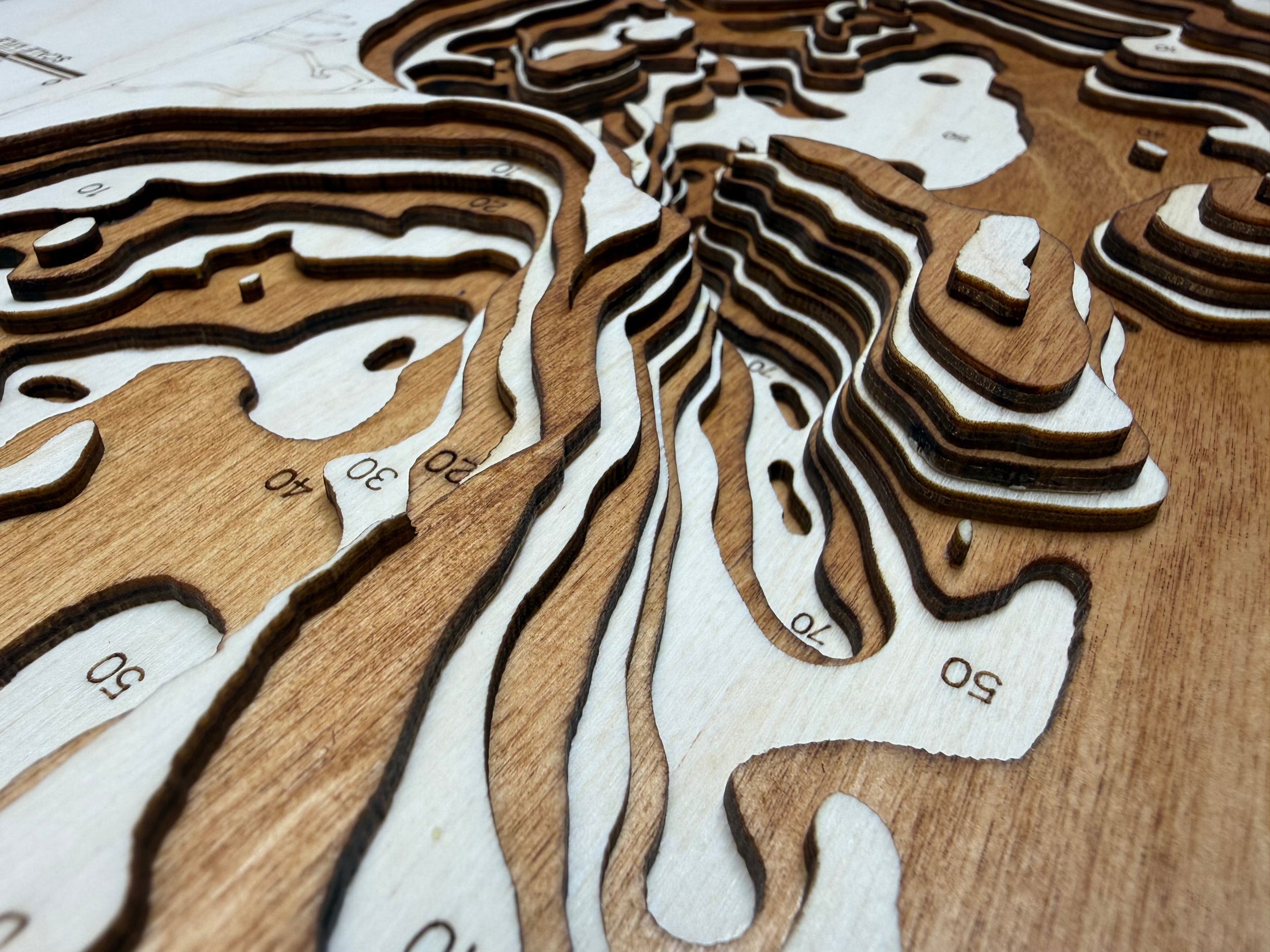Big Birch detail: precision laser cuts