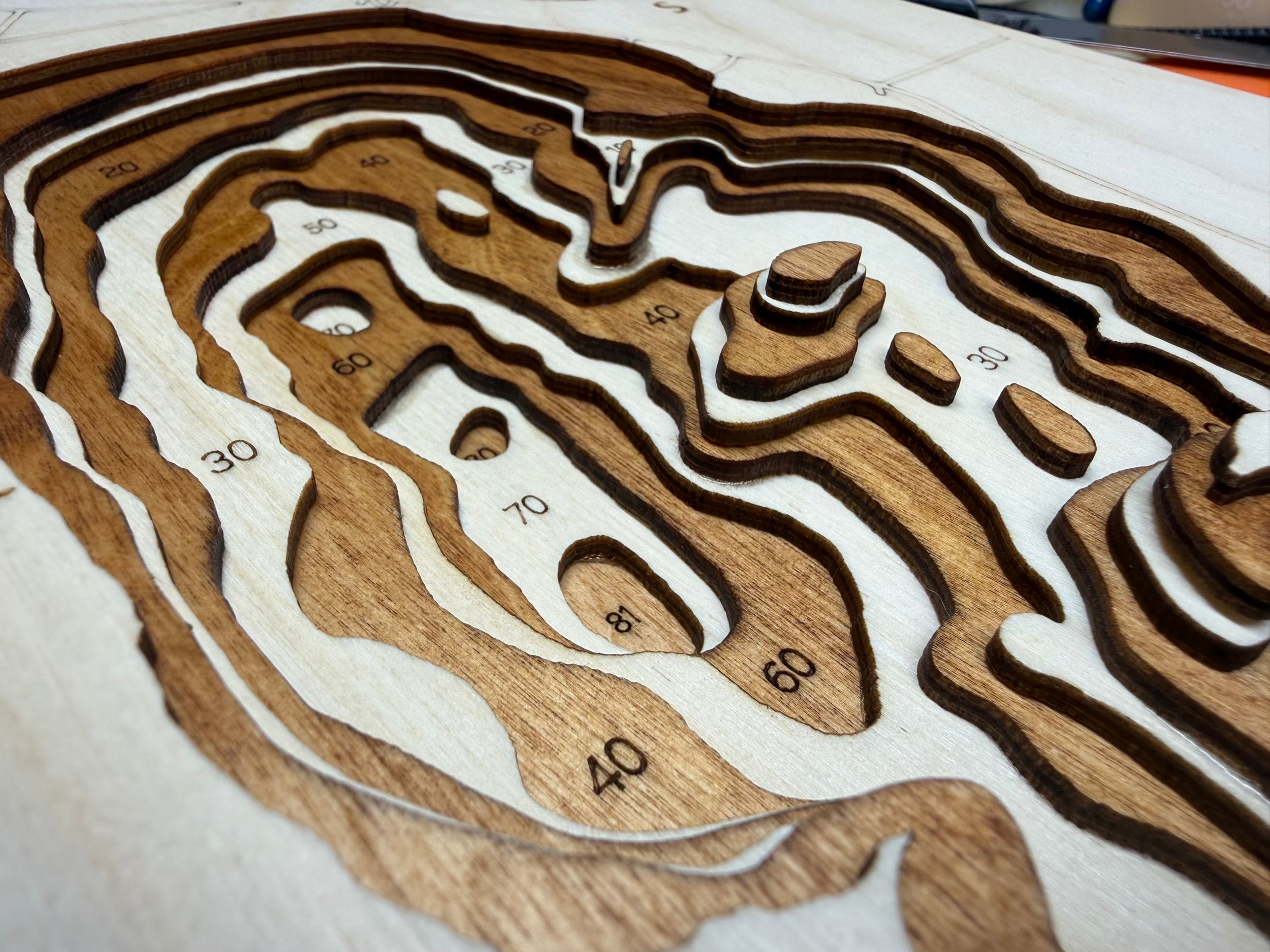 Big Birch detail: Baltic Birch layering showing depth