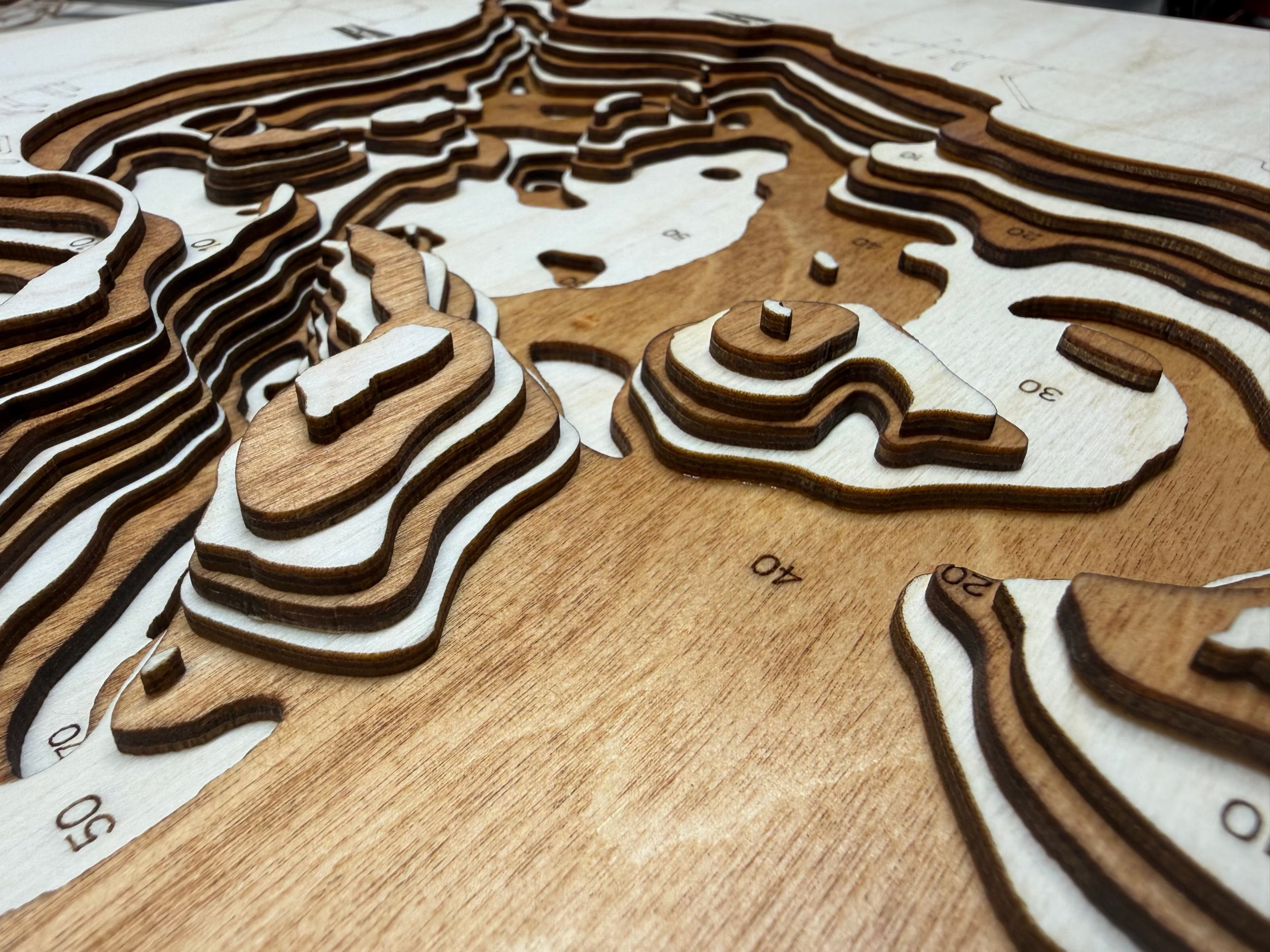 Big Birch detail: fine laser-cut definition
