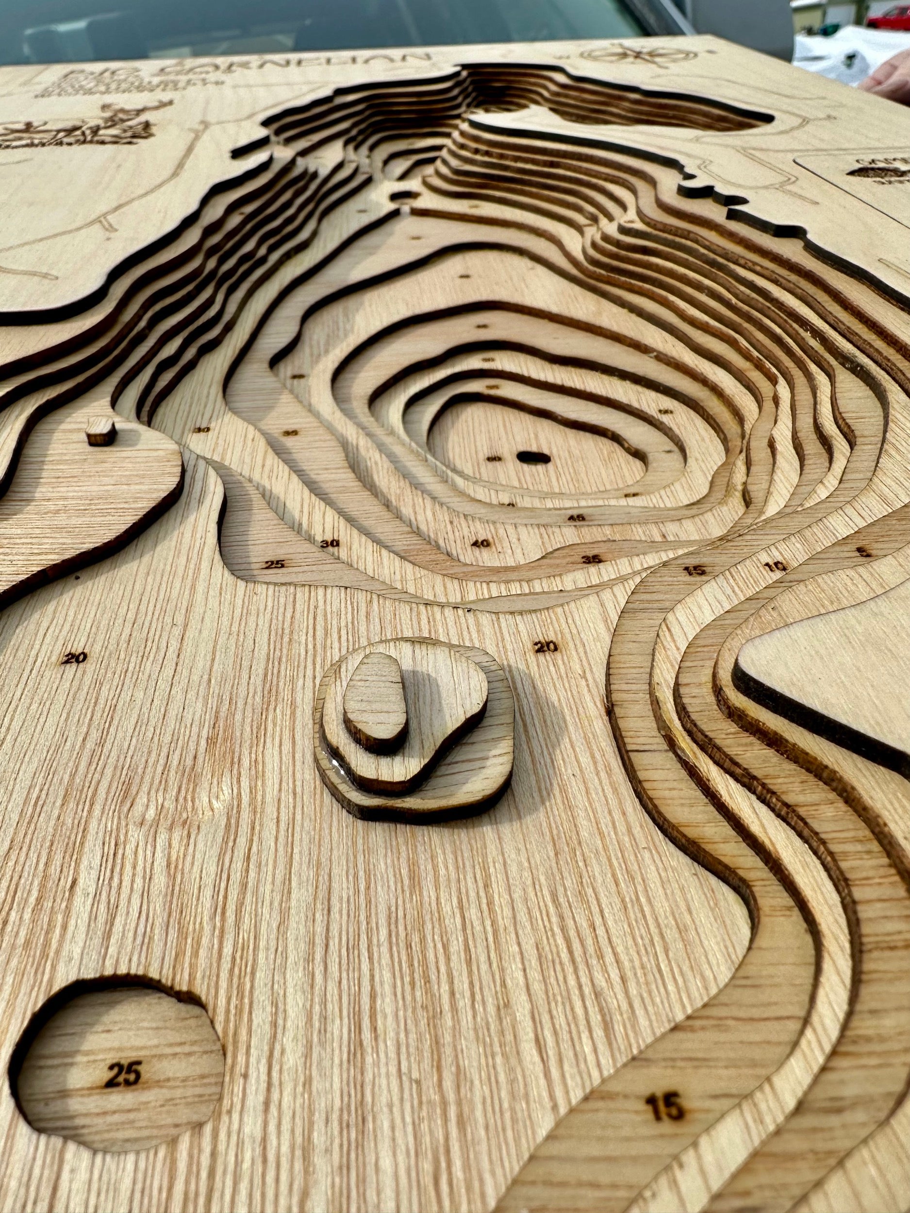 Big Carnelian detail: layered wood showing underwater structure
