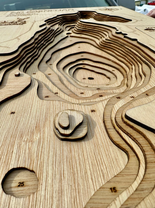 Big Carnelian detail: layered wood showing underwater structure