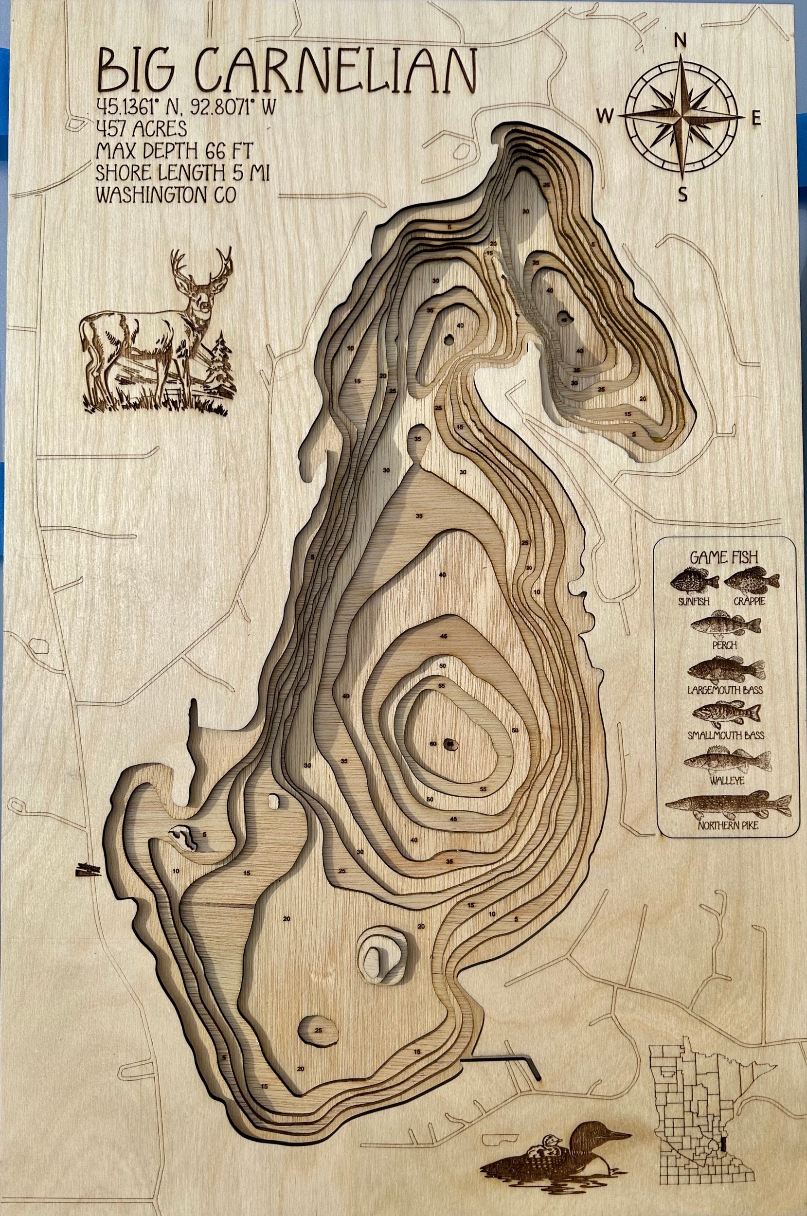 Big Carnelian Lake depth map – Washington County, Minnesota by Laser Lakes