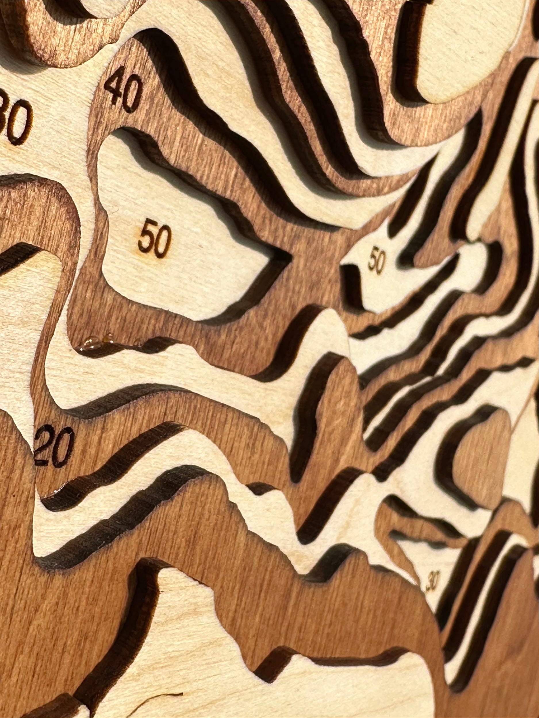 Big Pine detail: layers show structure and features