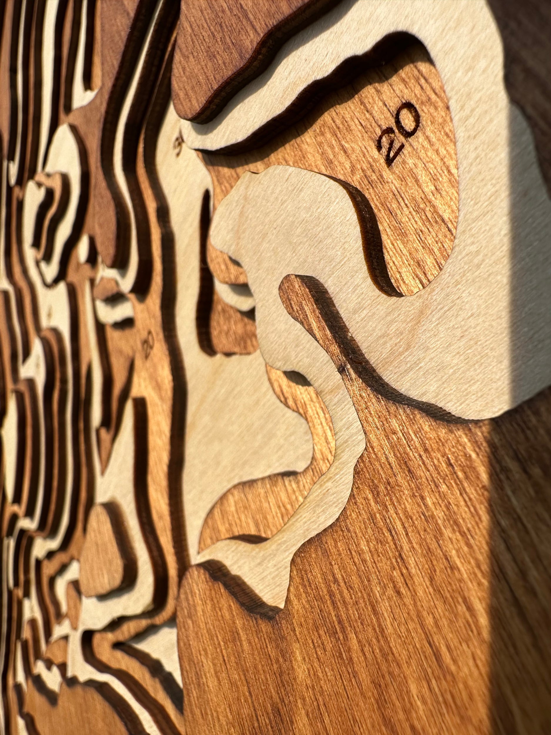 Big Pine detail: precision laser work