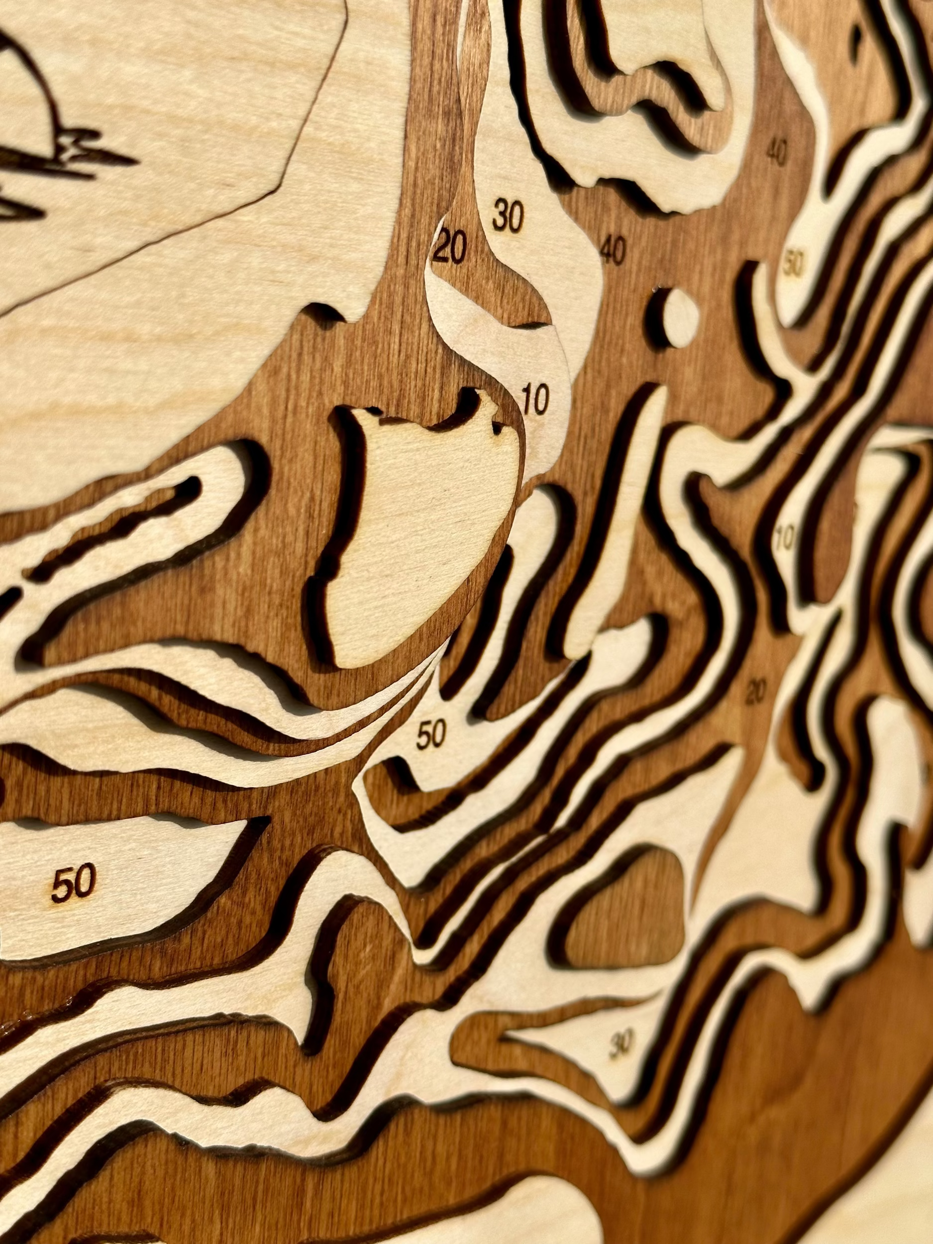 Big Pine detail: dimensional wood layering