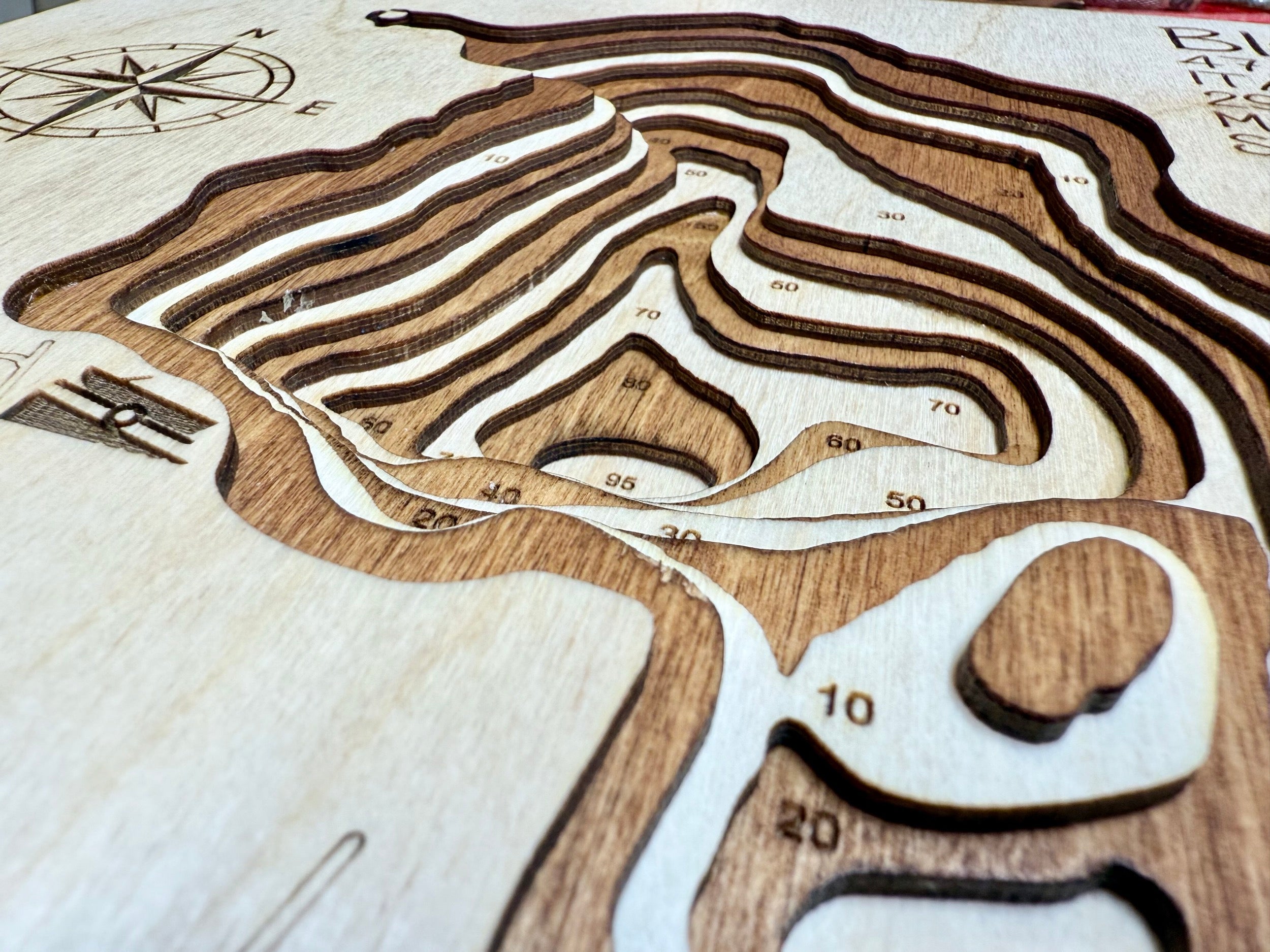 Big Too Much detail: precision wood layering