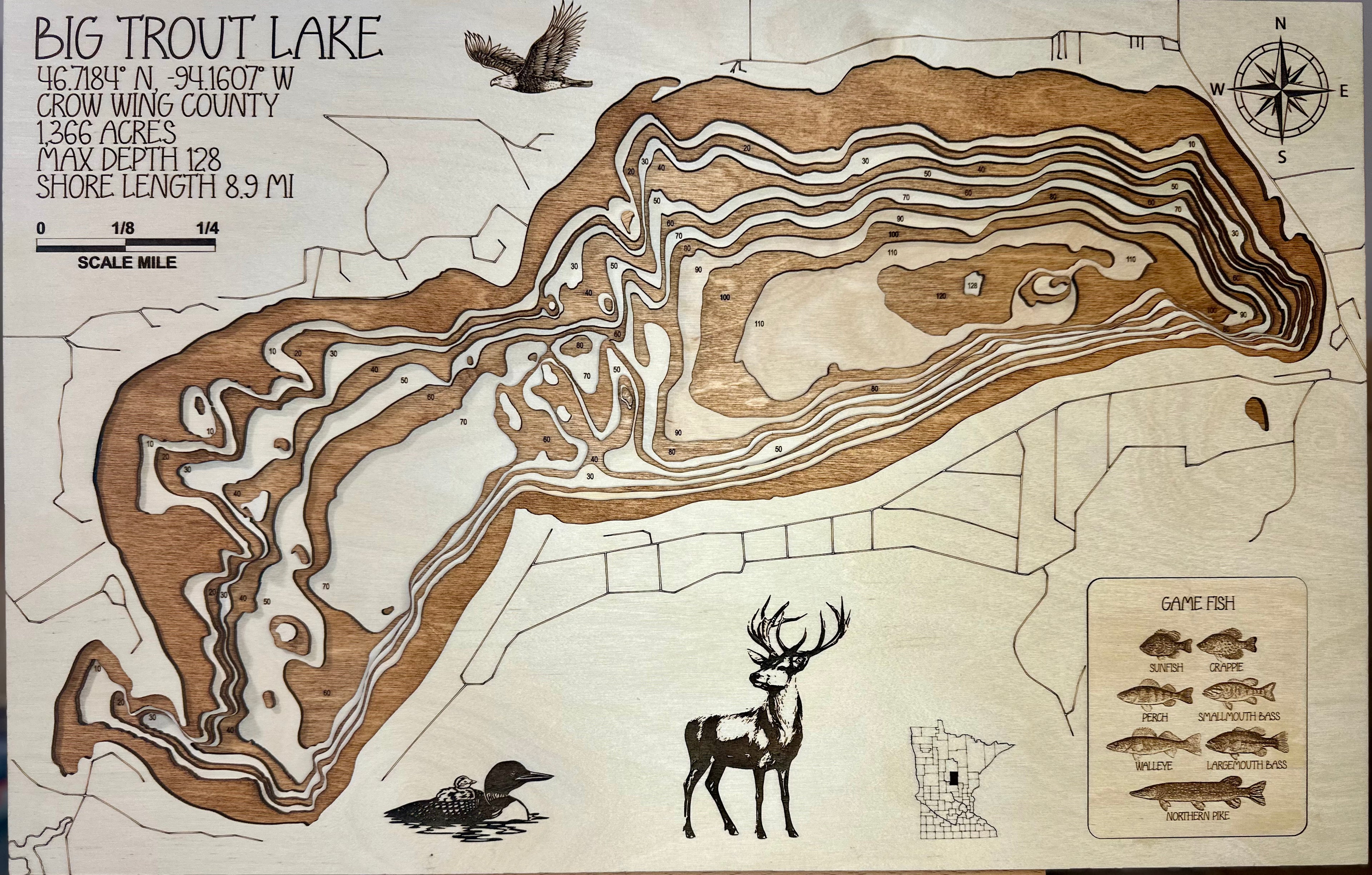 Big Trout Lake – Crow Wing County – lots of underwater structure by Laser Lakes