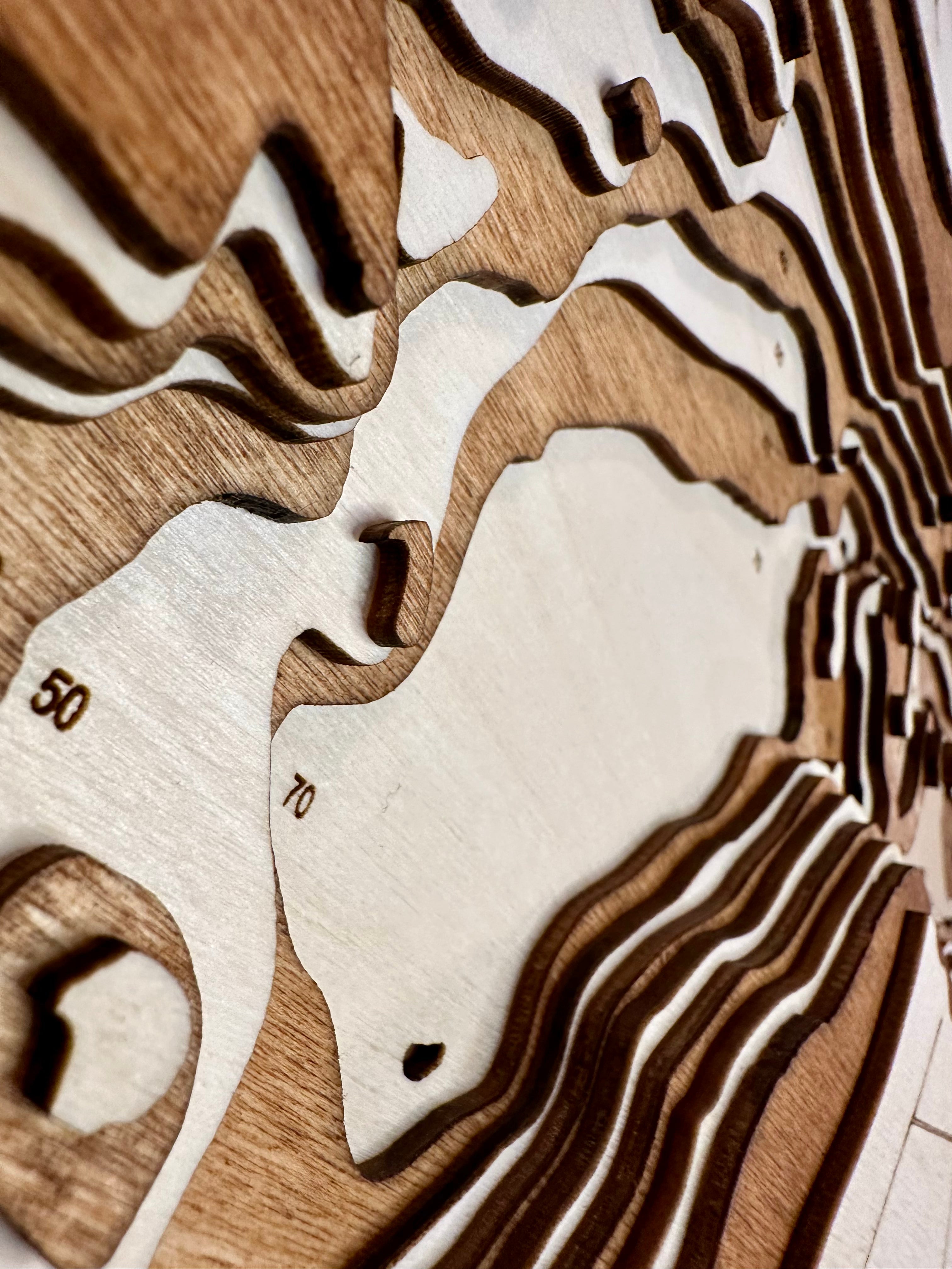 Big Trout detail: fine laser cuts in wood layers