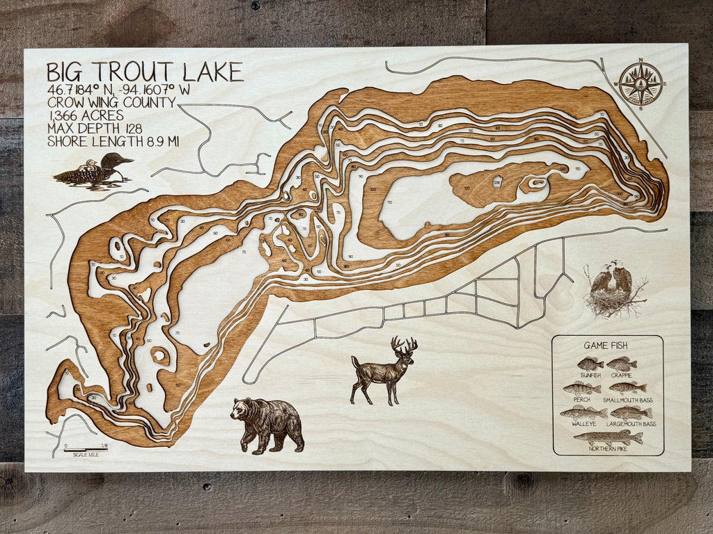 Big Trout Lake Map – Crow Wing County – Minnesota