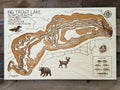 Big Trout Lake Map – Crow Wing County – Minnesota