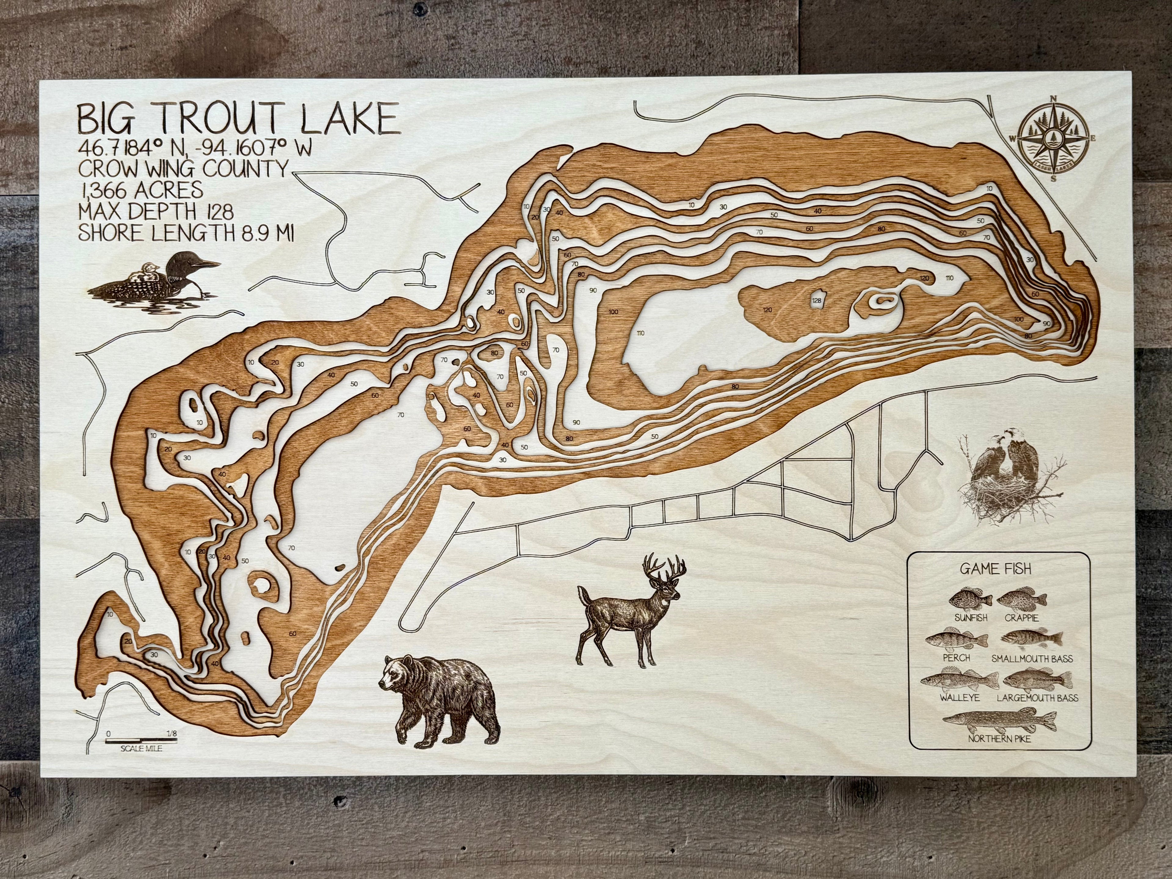 Big Trout Lake Map – Crow Wing County – Minnesota