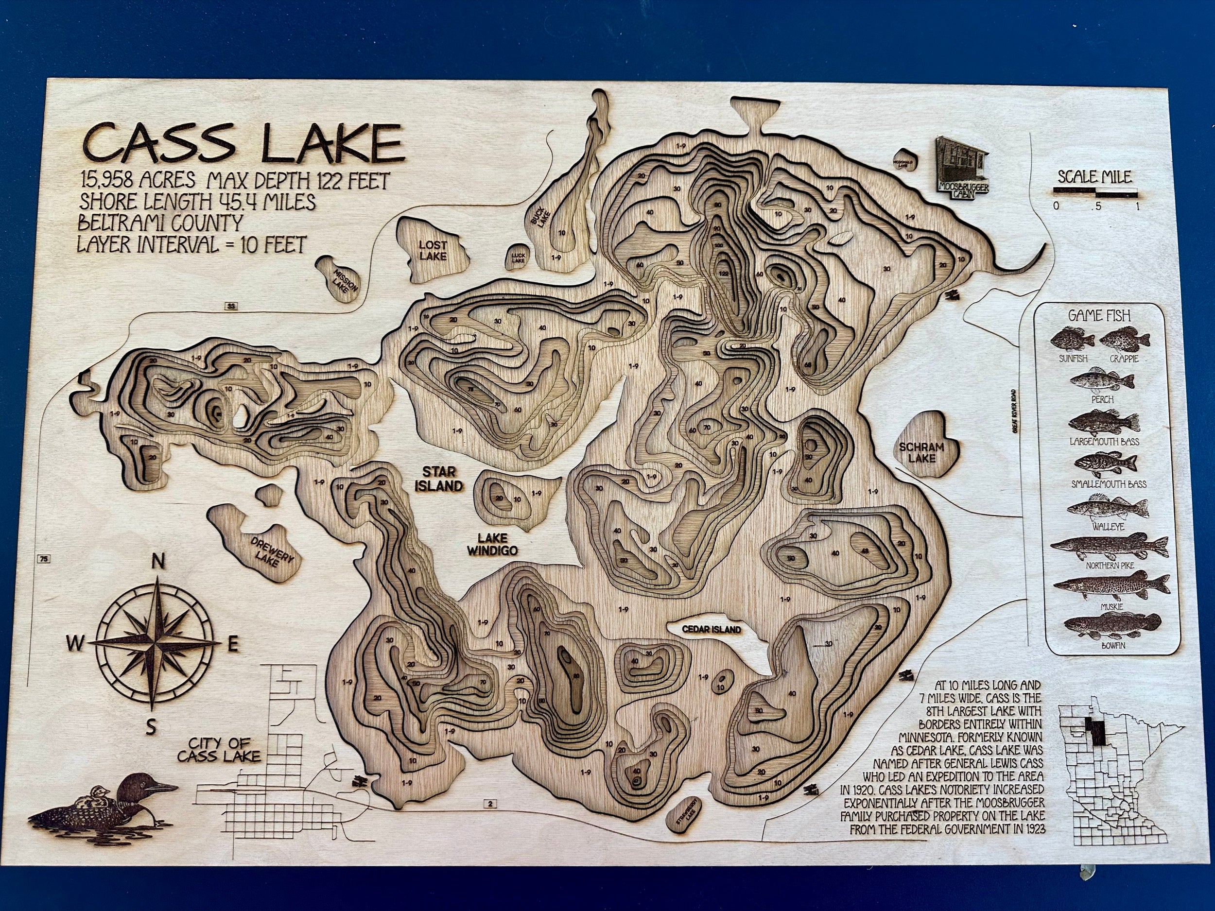 Cass Lake detail: layers reveal structure from first commissioned map