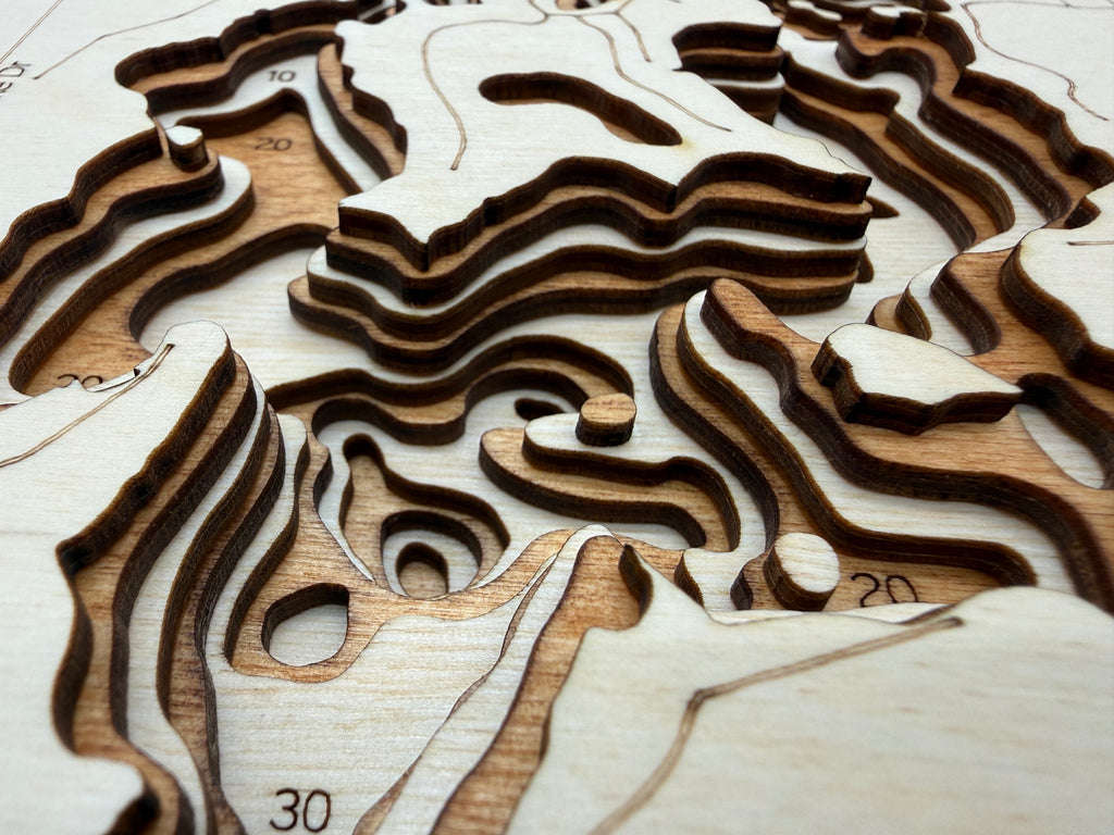 Cedar Lake detail: layered wood depth mapping