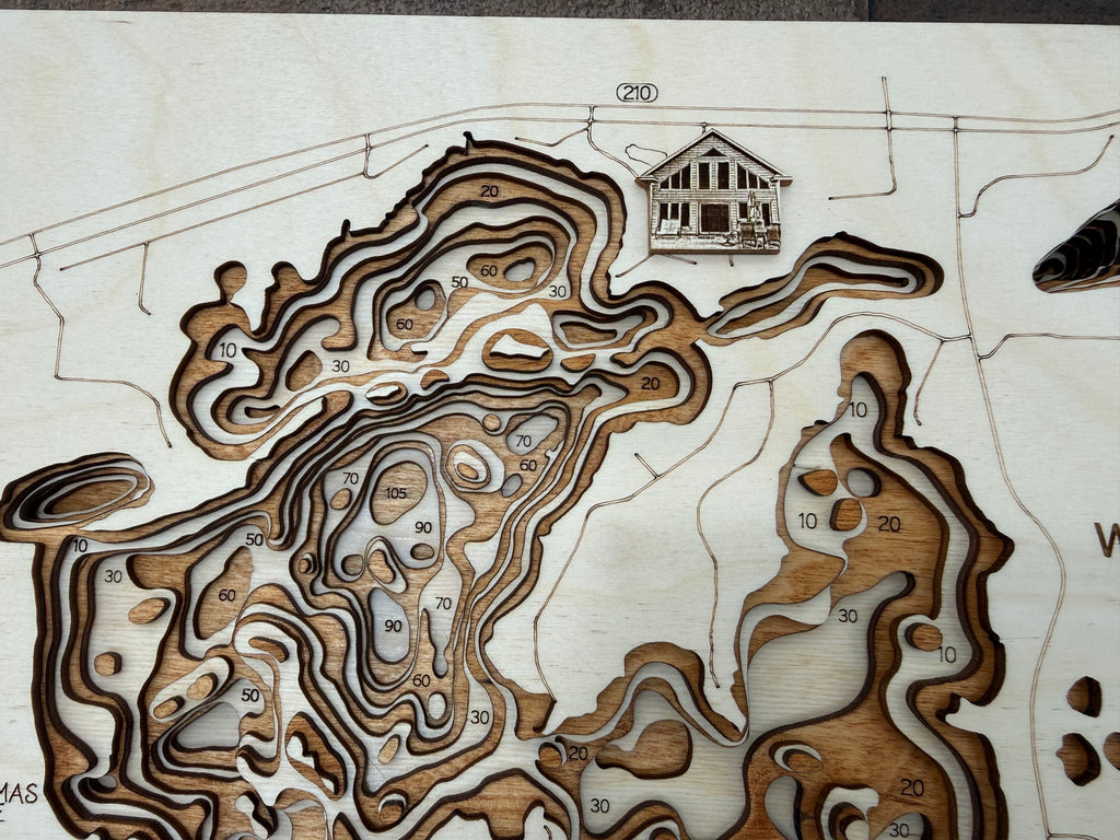 Cedar Lake detail: wood layers reveal depth