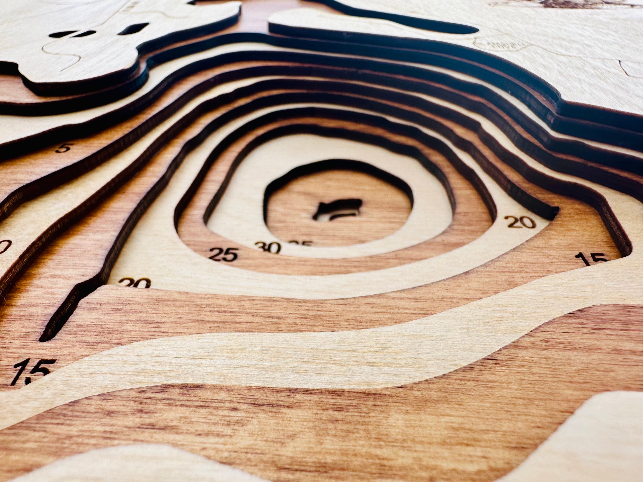 Clamshell detail: fine wood layering