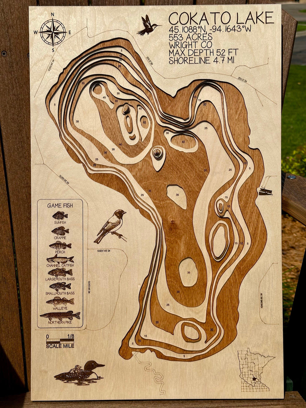 Cokato Lake – with customized wildlife – Wright County by Laser Lakes