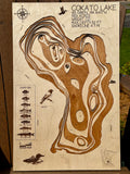 Cokato Lake – with customized wildlife – Wright County by Laser Lakes