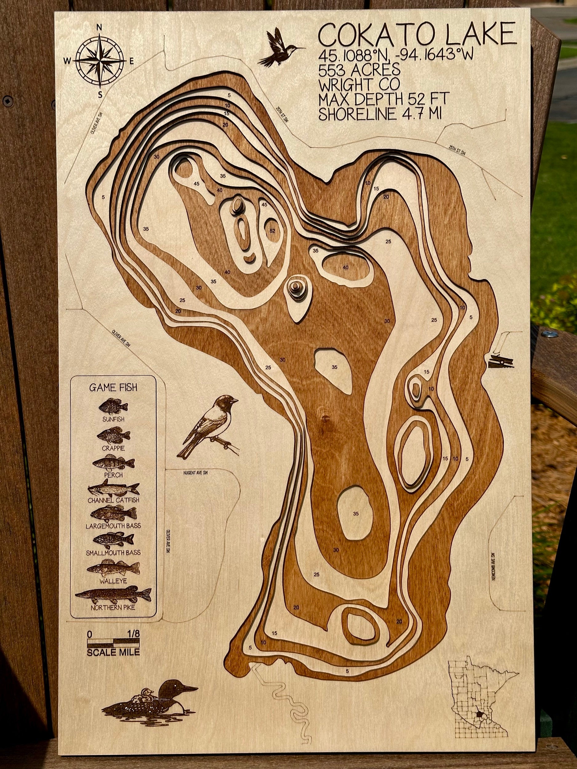 Cokato Lake – with customized wildlife – Wright County by Laser Lakes