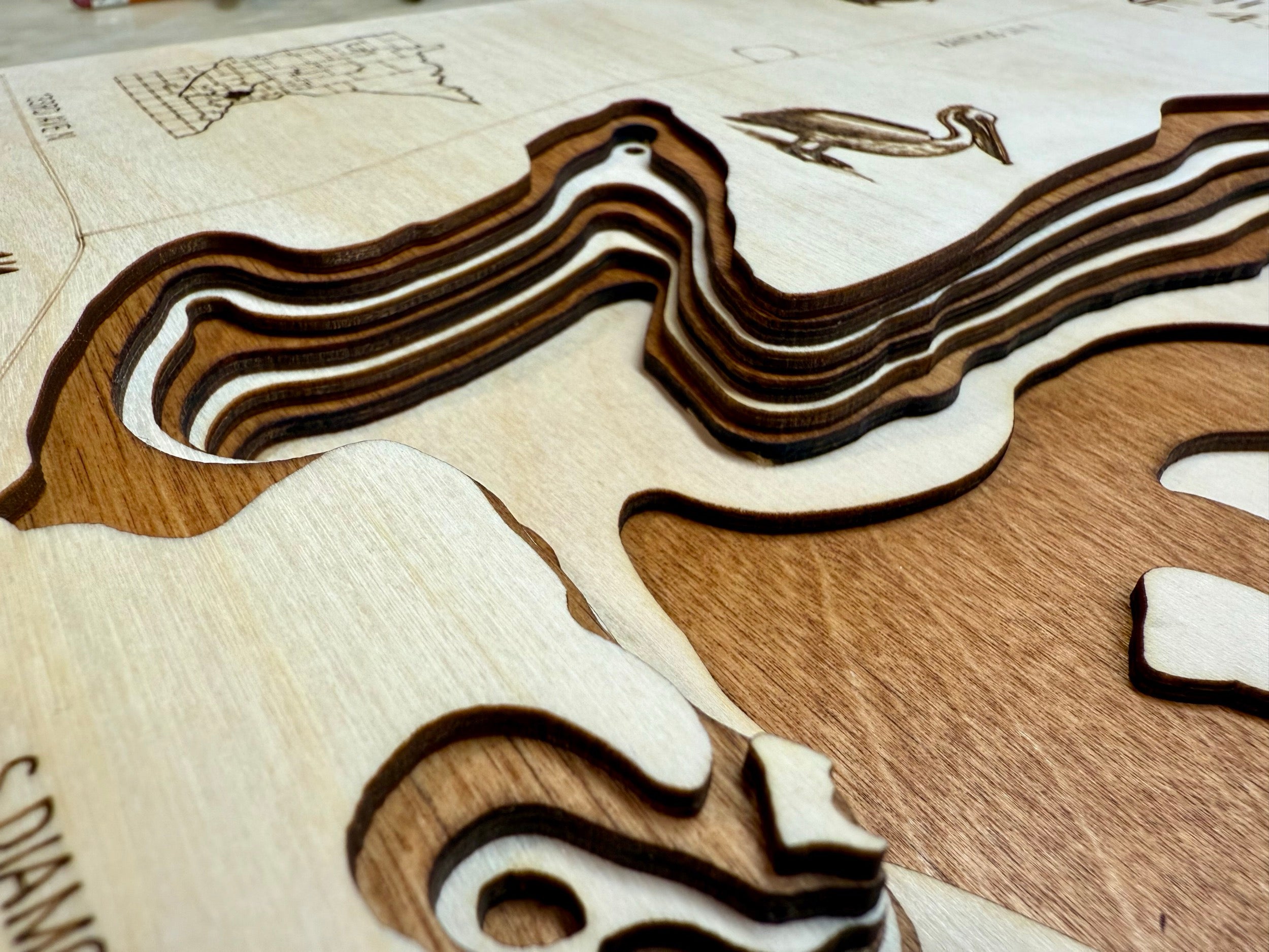 Diamond Hennepin detail: fine-scaled depth mapping