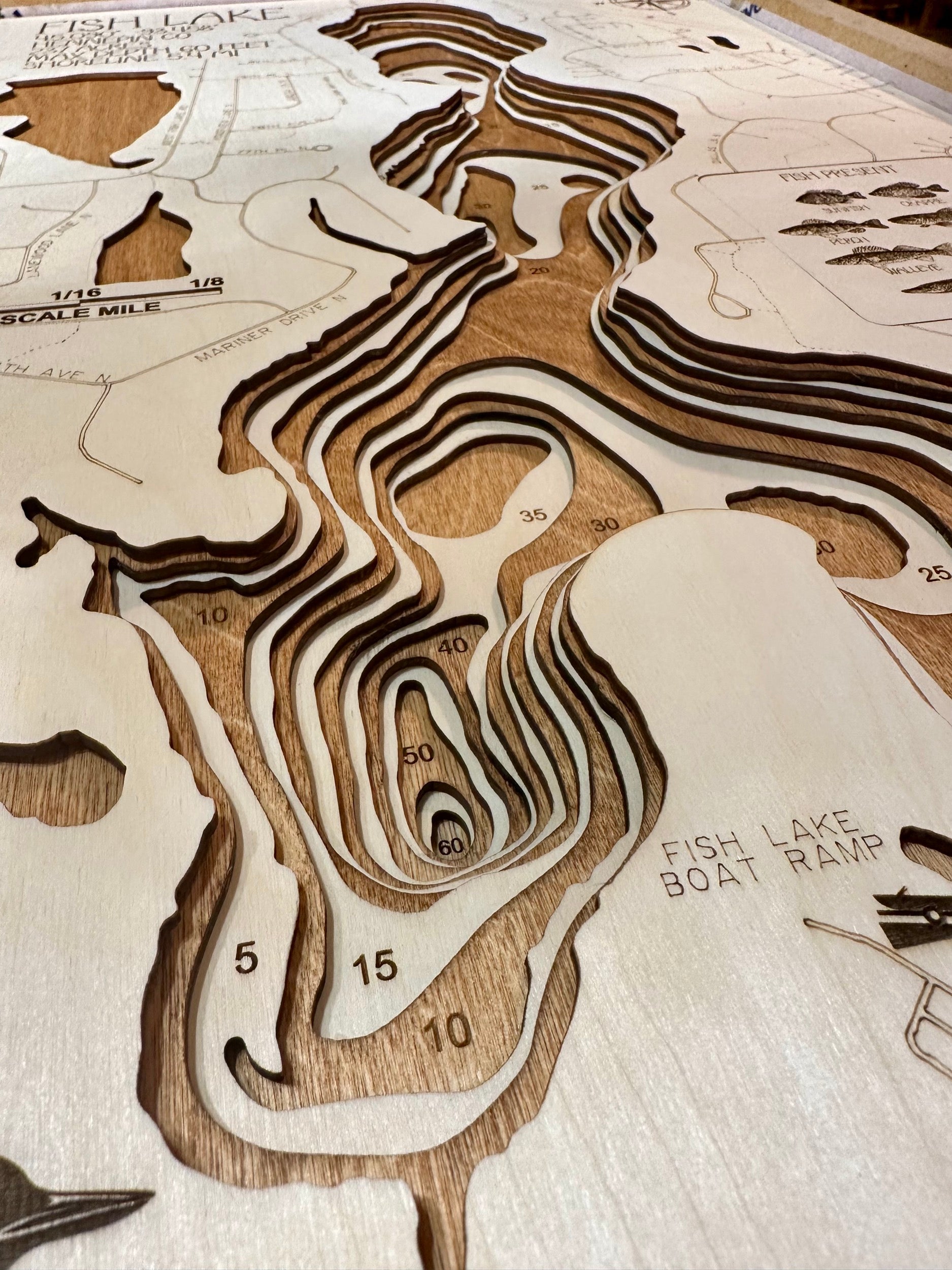 Fish Lake detail: layered depth and structure