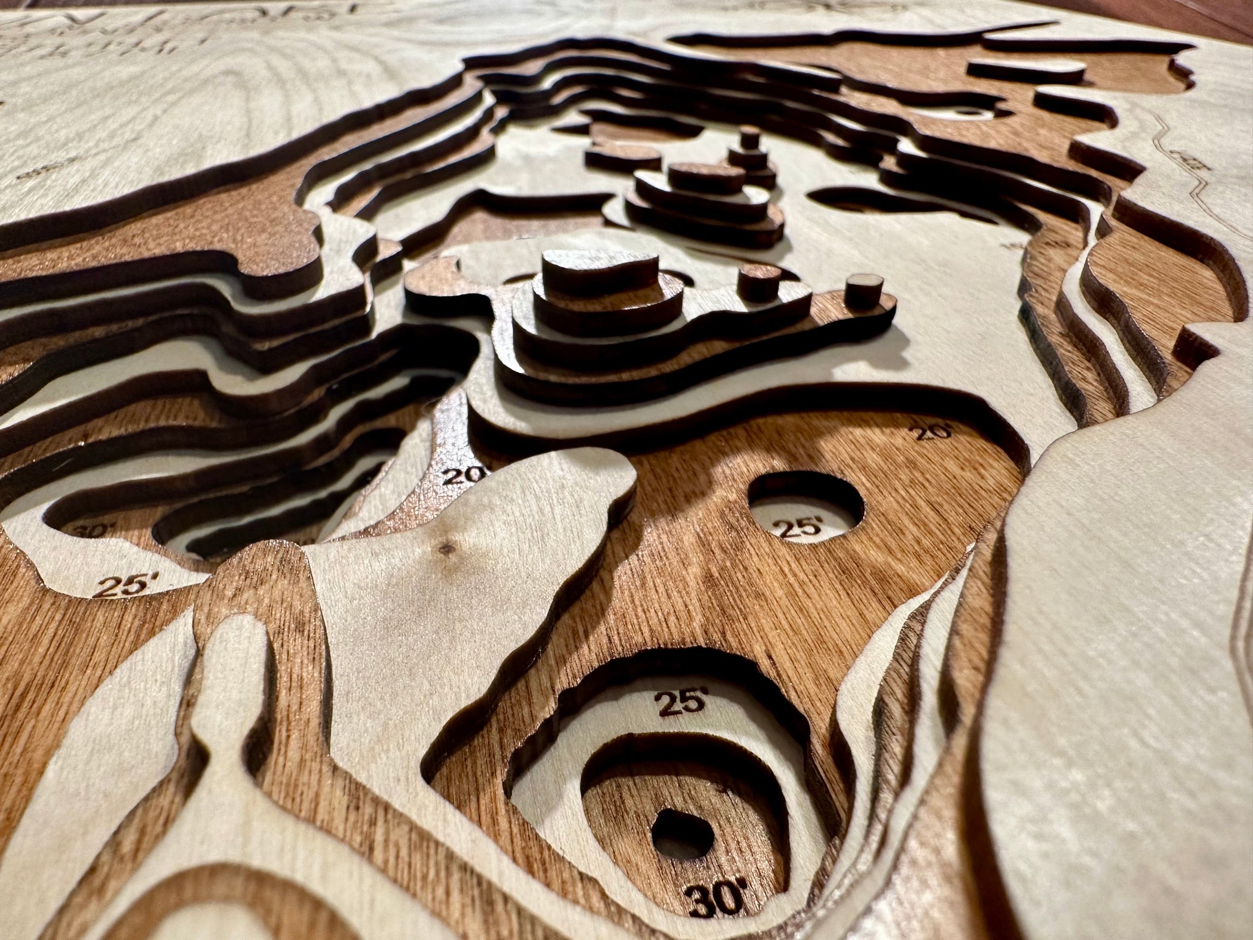 Gun Lake detail: precision laser cuts