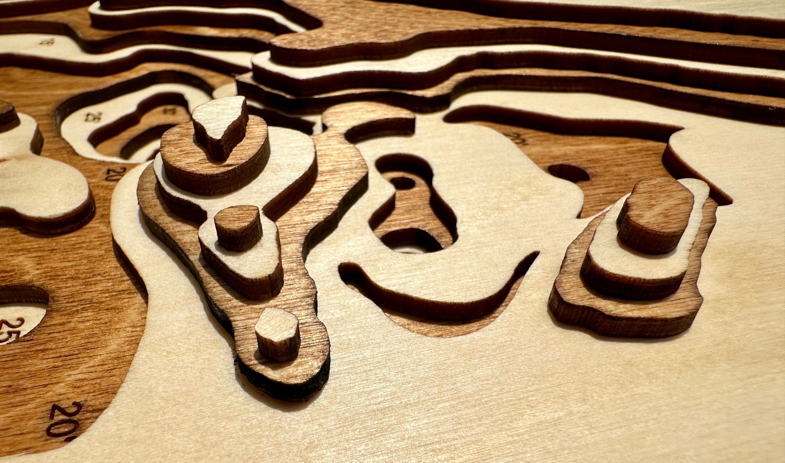 Gun Lake detail: fine wood layering