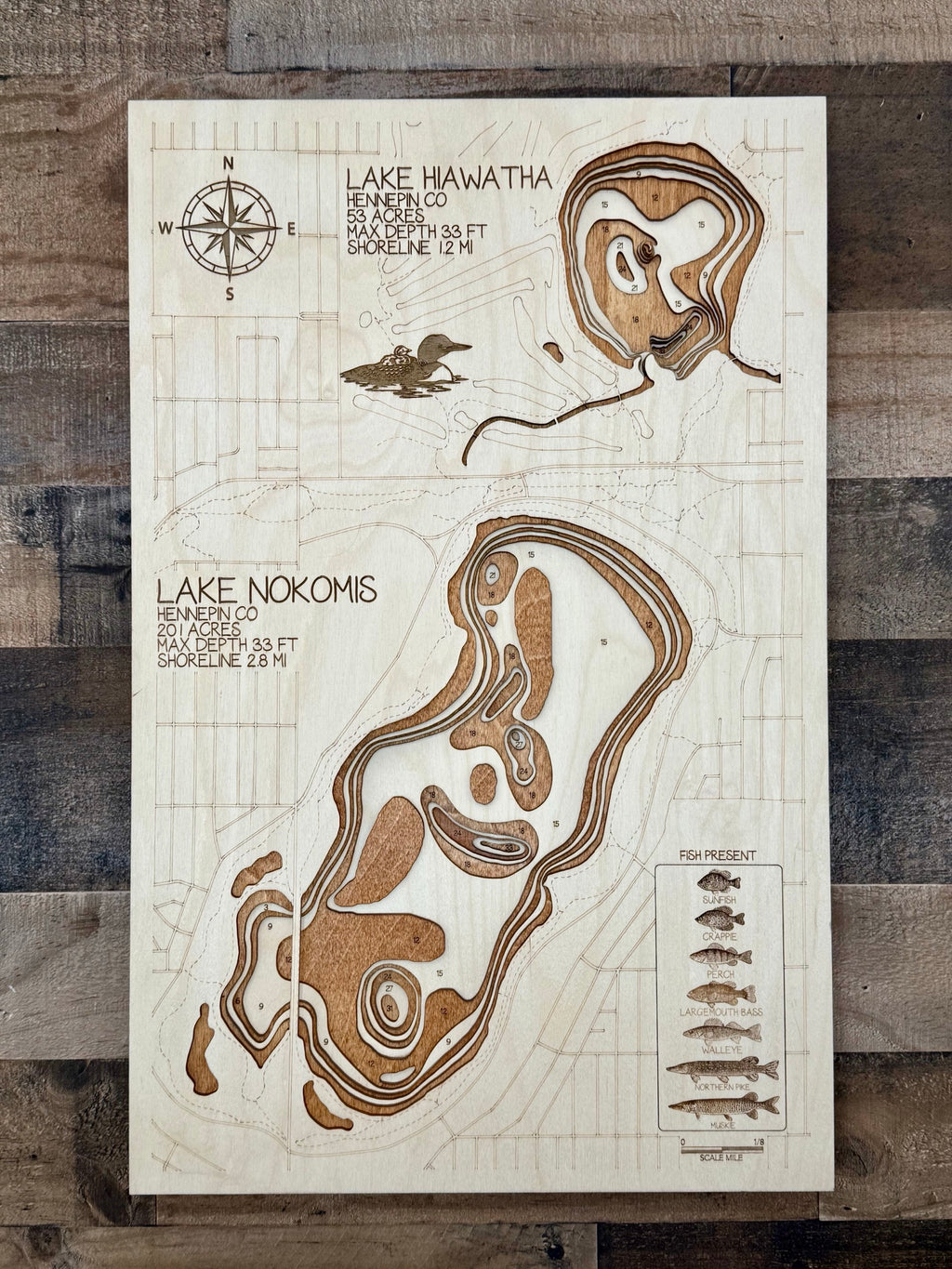 Hiawatha and Nokomis – east Minneapolis favorites – depth map by Laser Lakes