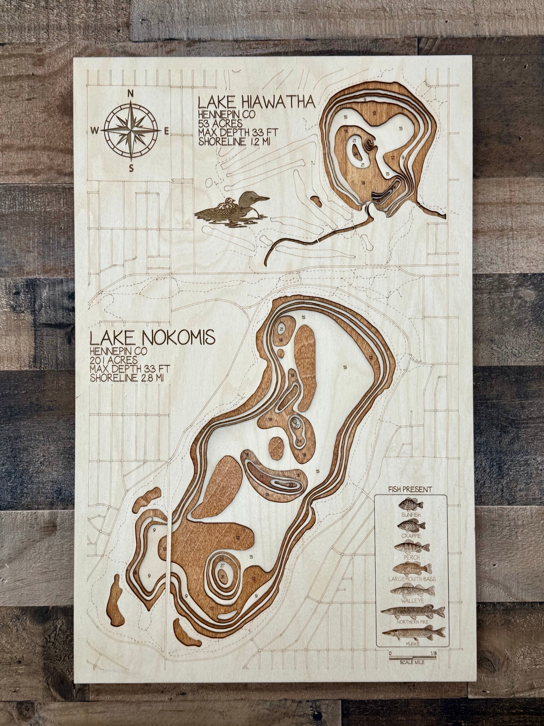 Hiawatha and Nokomis – east Minneapolis favorites – depth map by Laser Lakes