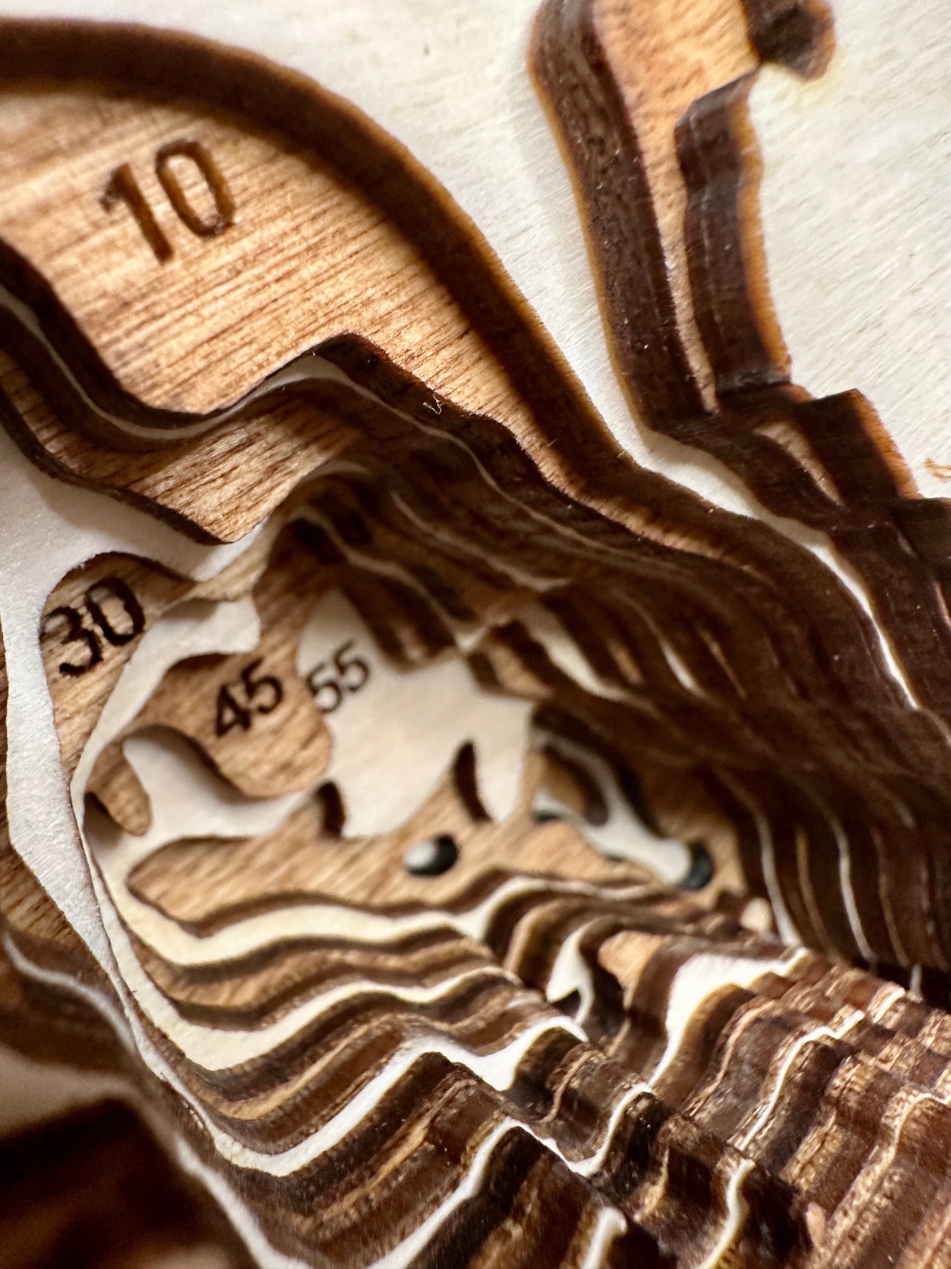 Leech Lake detail: dimensional depth mapping