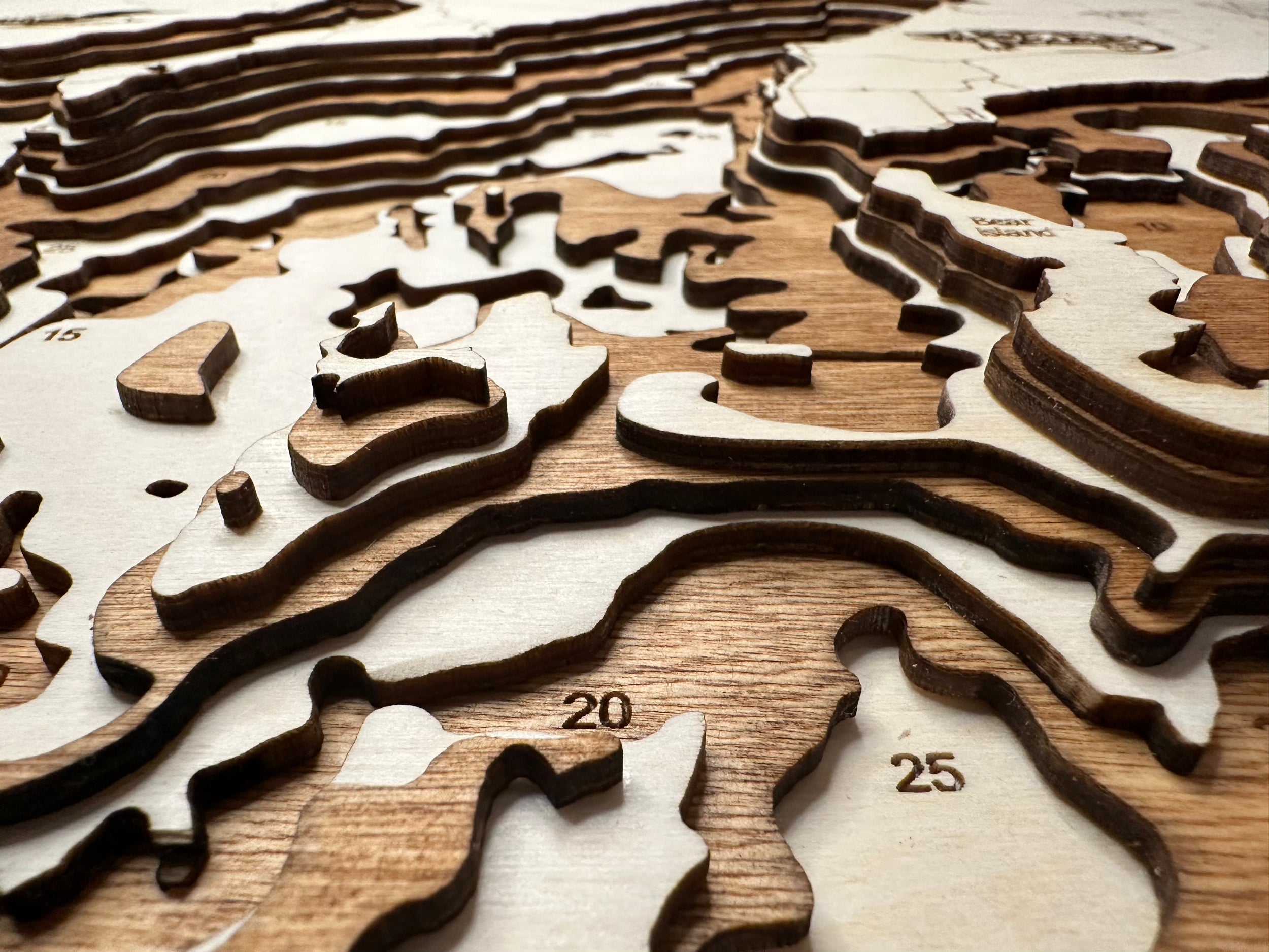Leech Lake detail: massive lake in wood layers