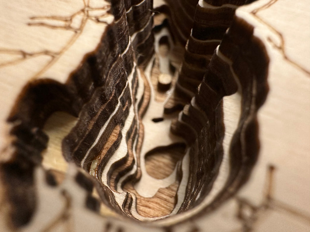 Leech Lake detail: fine laser-cut definition