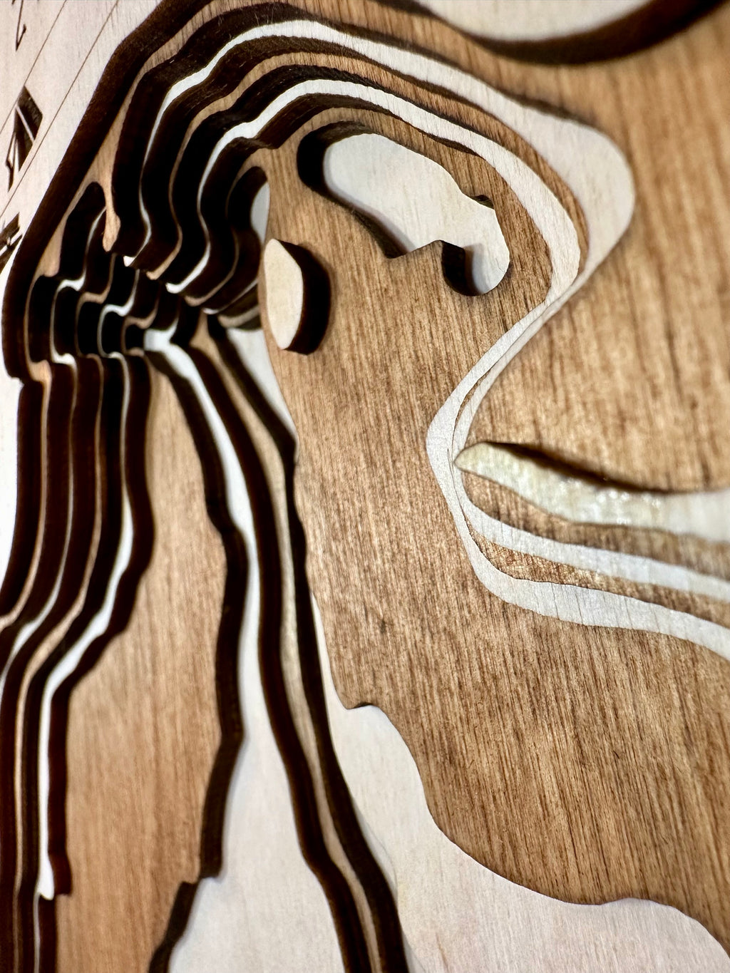 Little Wall detail: fine wood layering