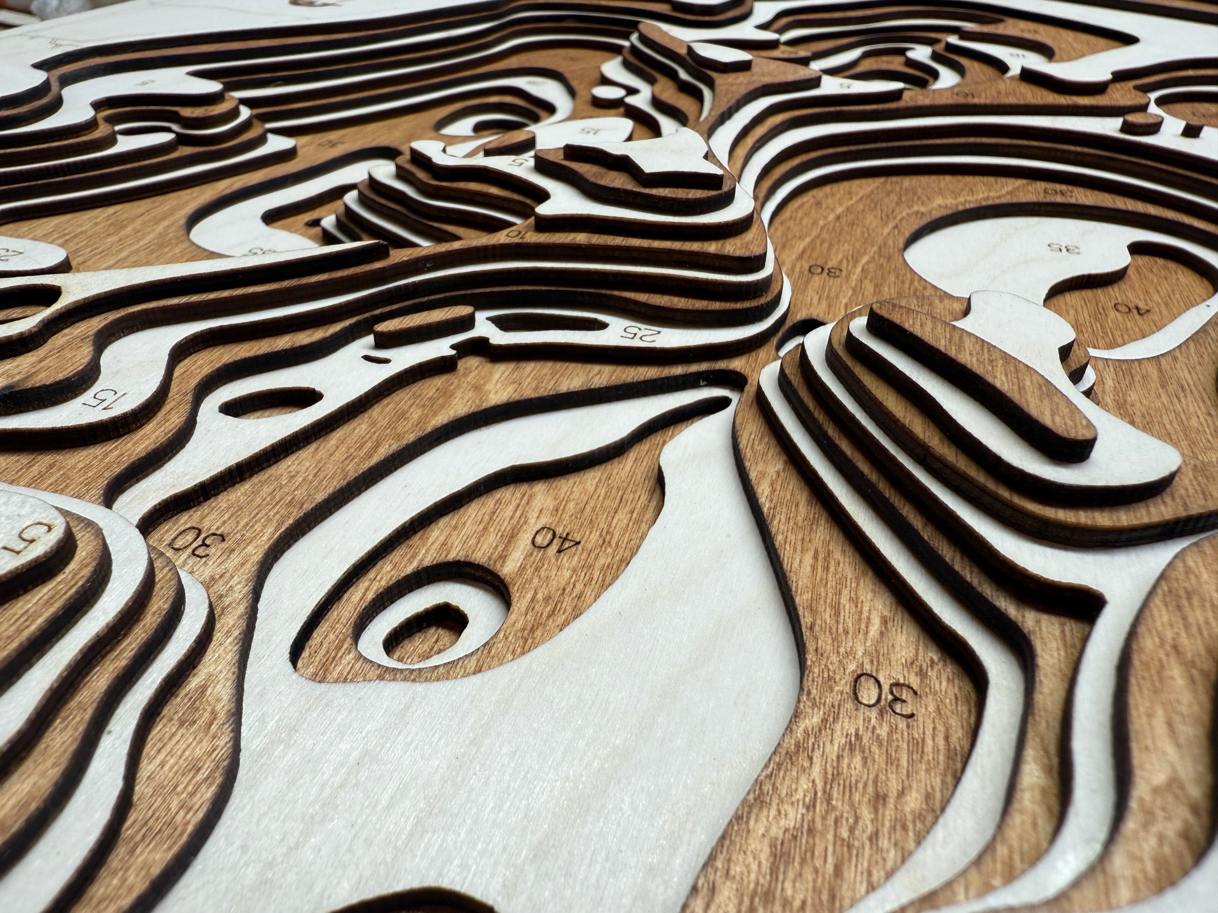 Lizzie detail: fine wood layering