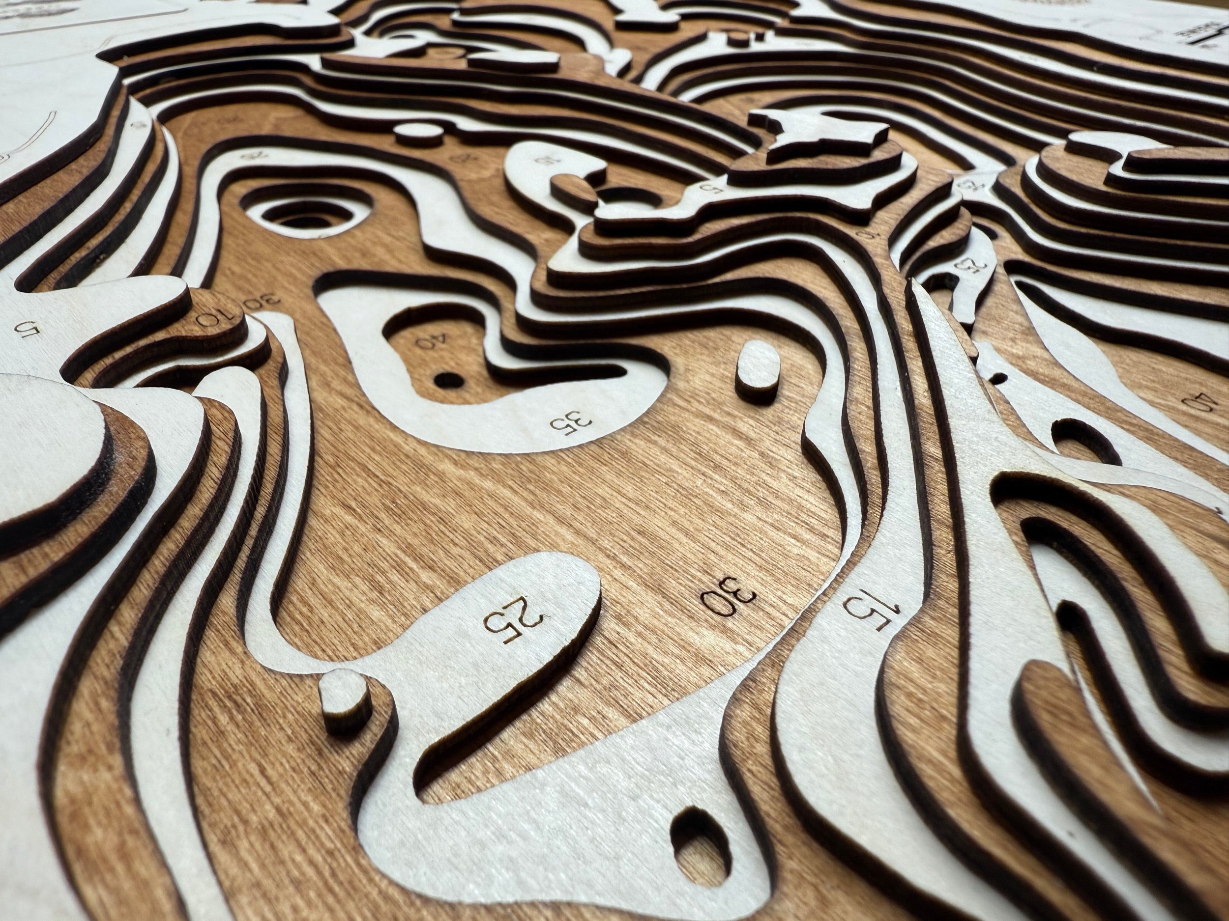 Lizzie detail: precision laser work