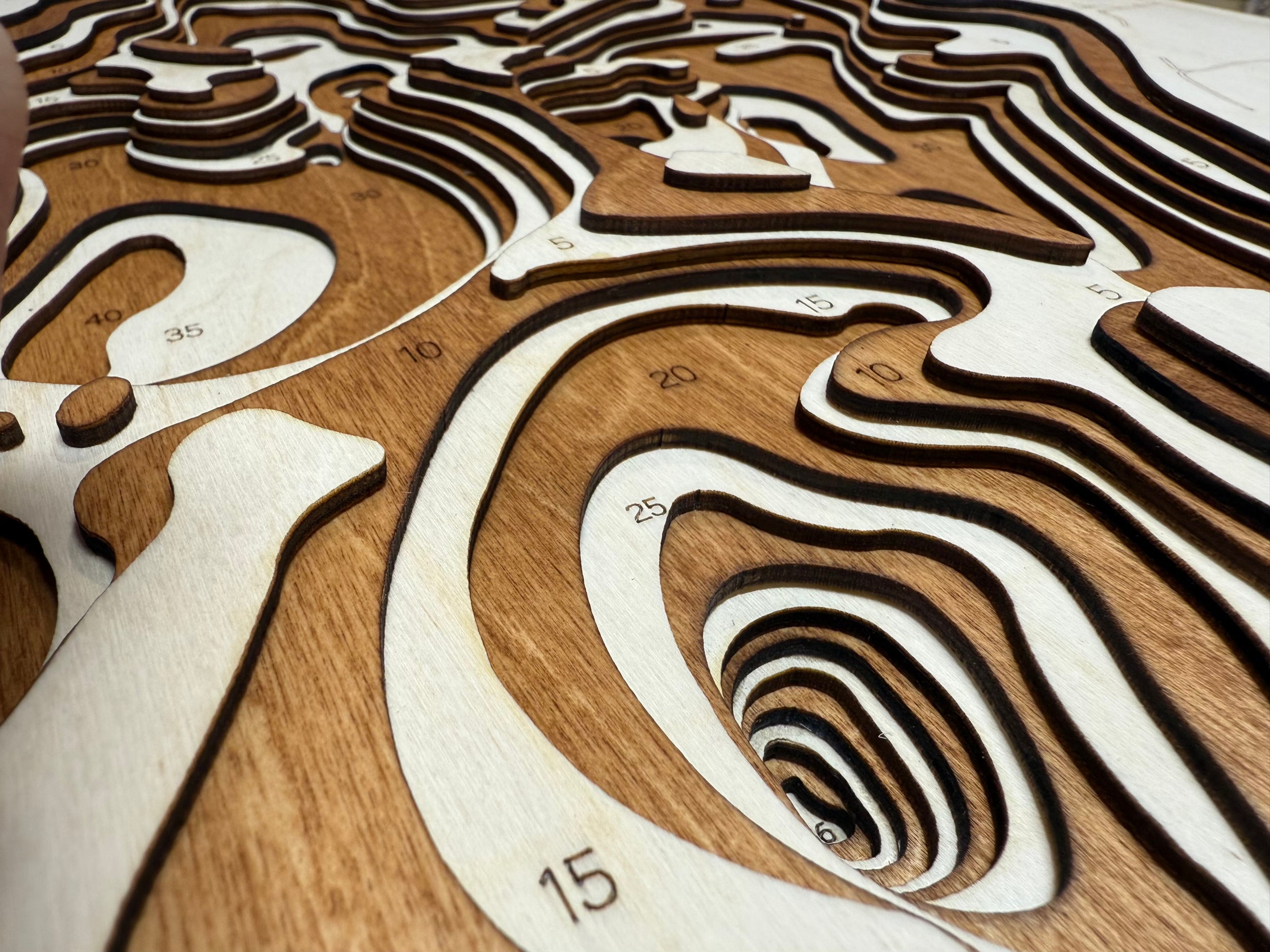 Lizzie detail: dimensional craftsmanship