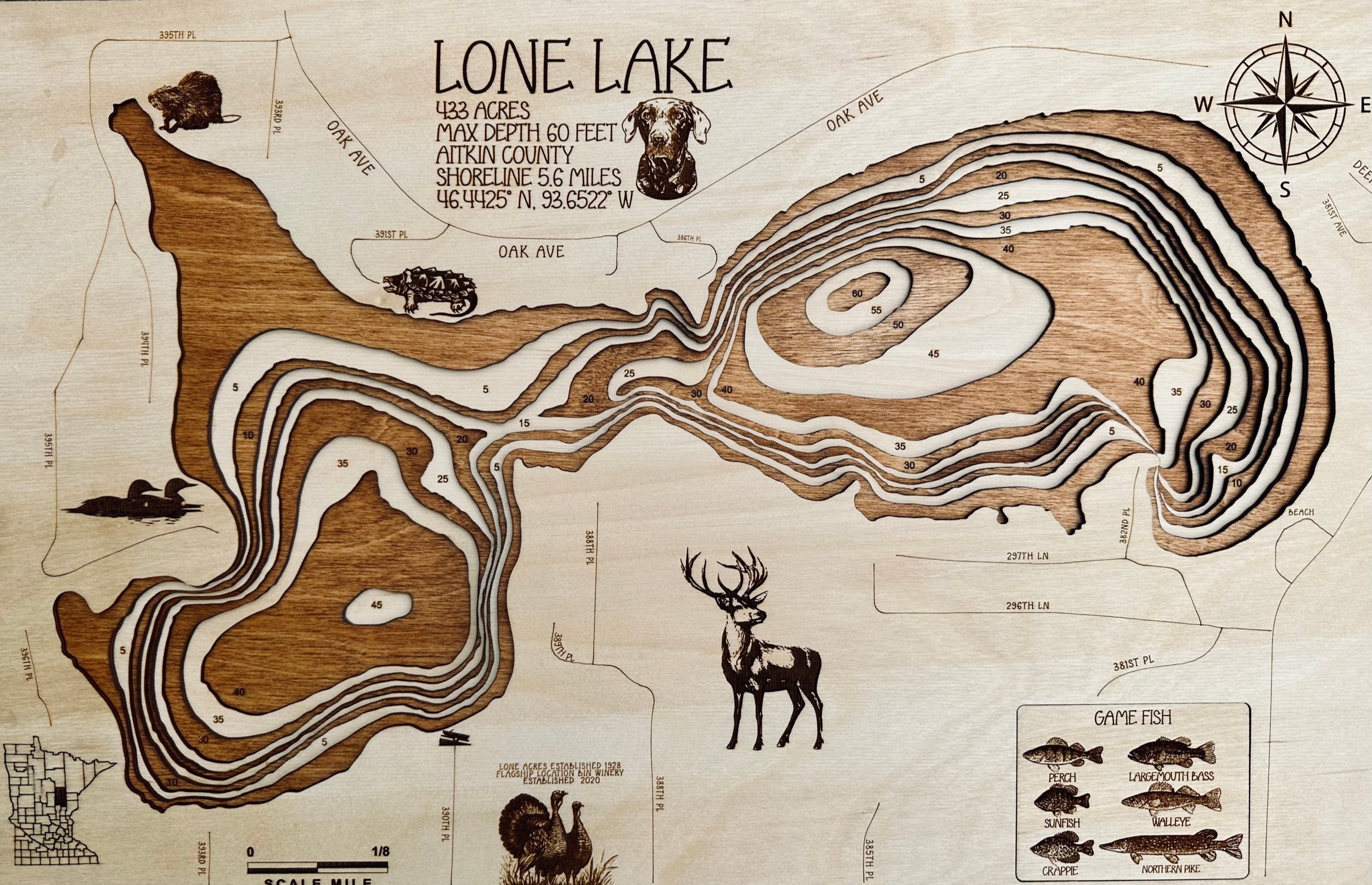 Lone Lake – neighbor to my own lake – Aitkin County by Laser Lakes