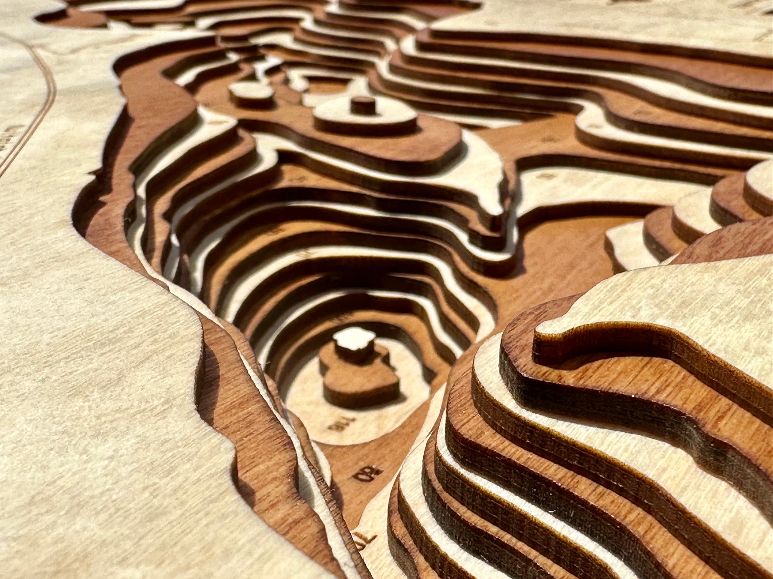 Long Lake detail: cool shape in wood layers