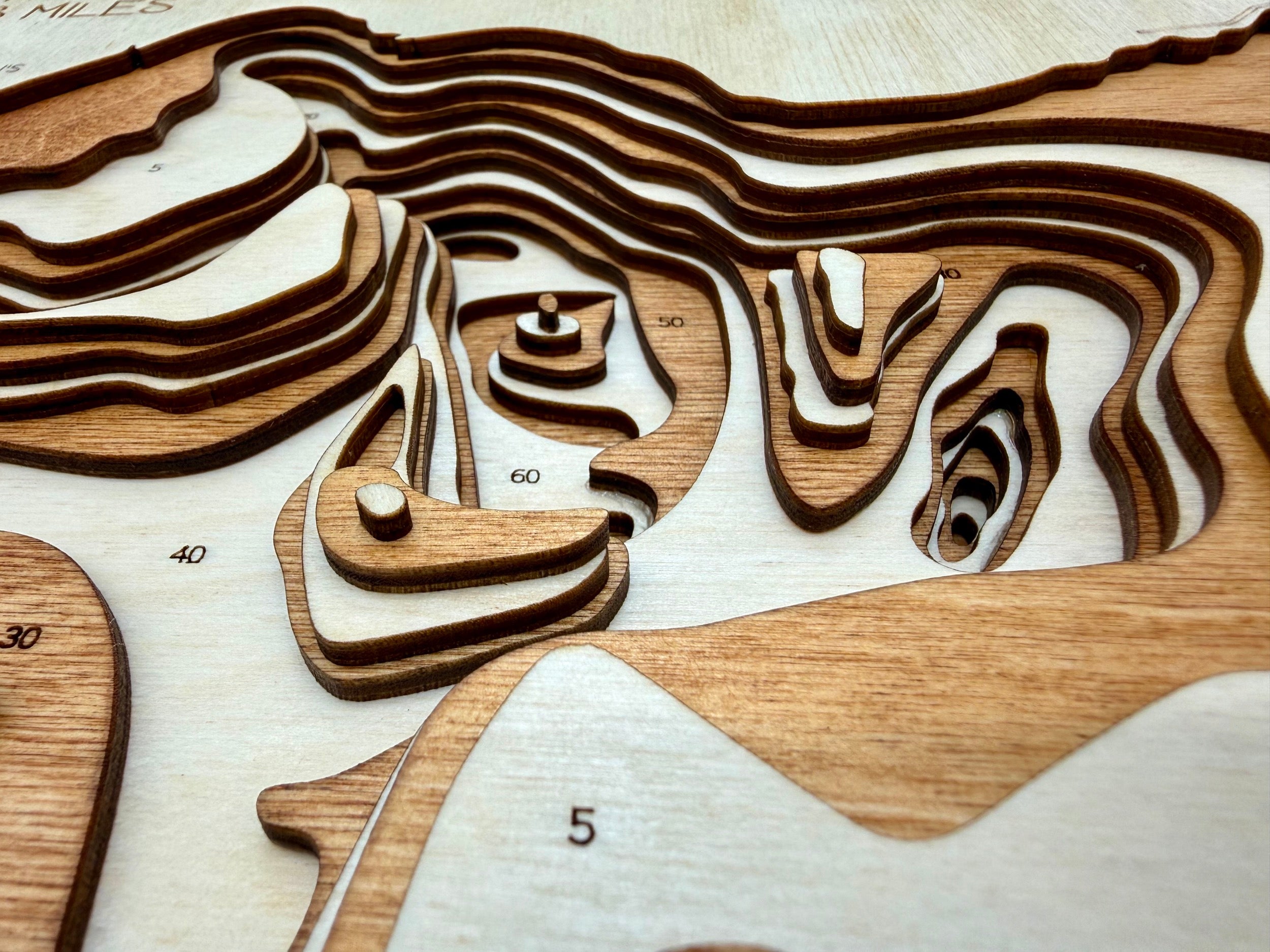 Miltona detail: precision laser work