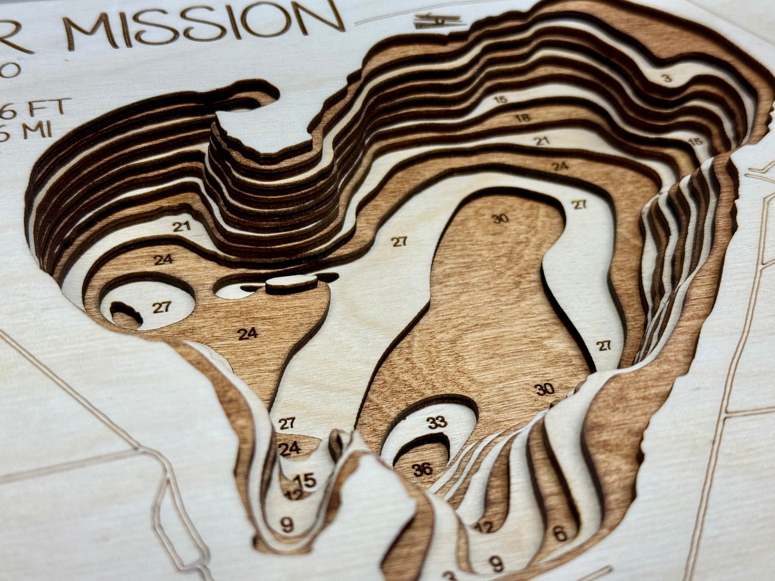 Mission Lake detail: connected lakes in wood