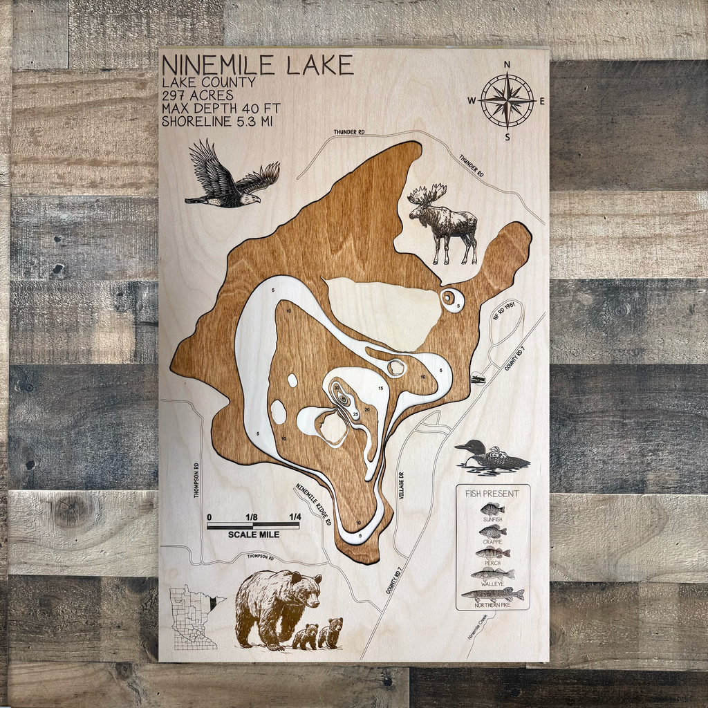 Ninemile Lake Map – Lake County – Minnesota