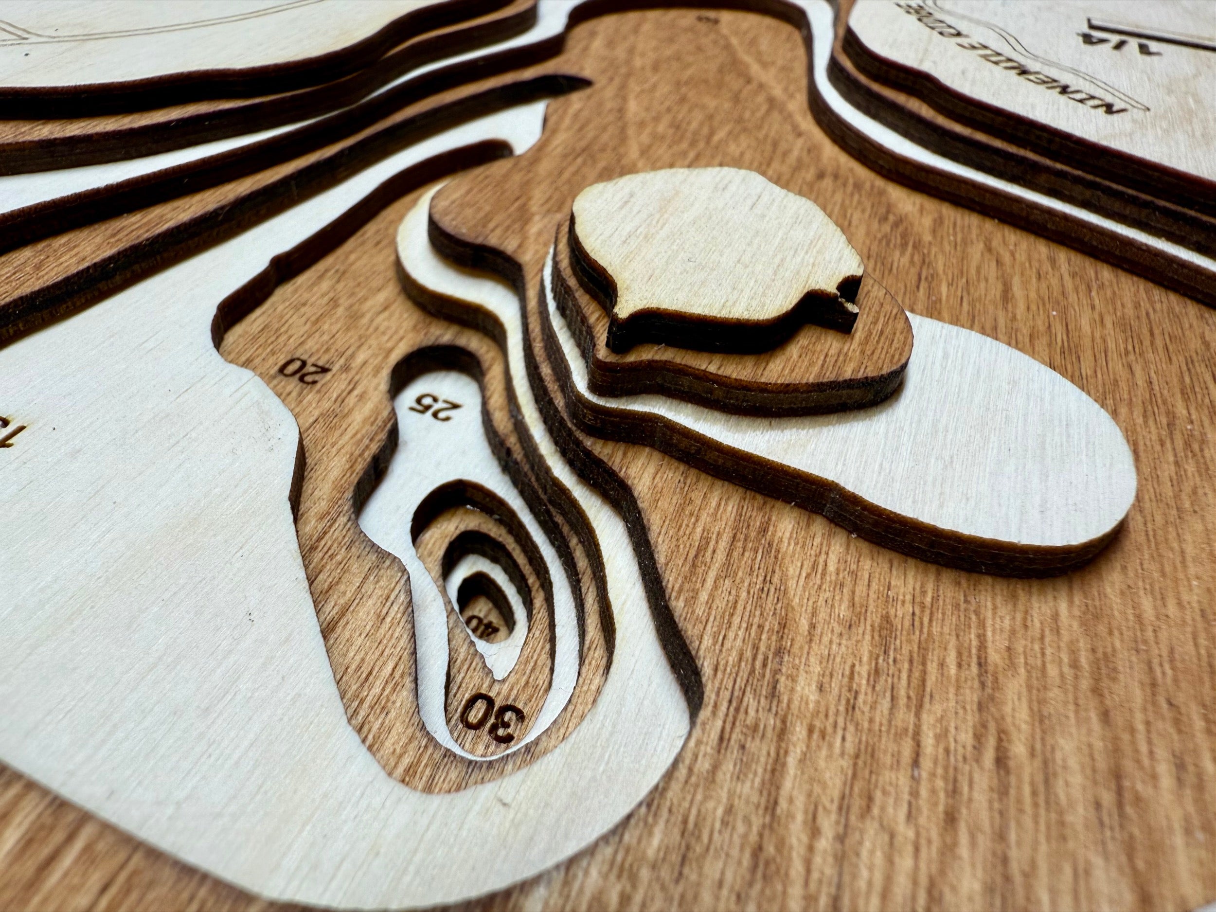 Ninemile Lake topographic map showing laser-engraved depth contours in wood