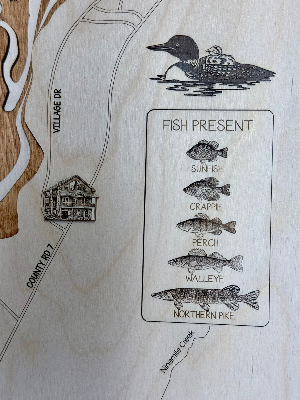 Ninemile Lake Minnesota multilayer wood bathymetric depth map