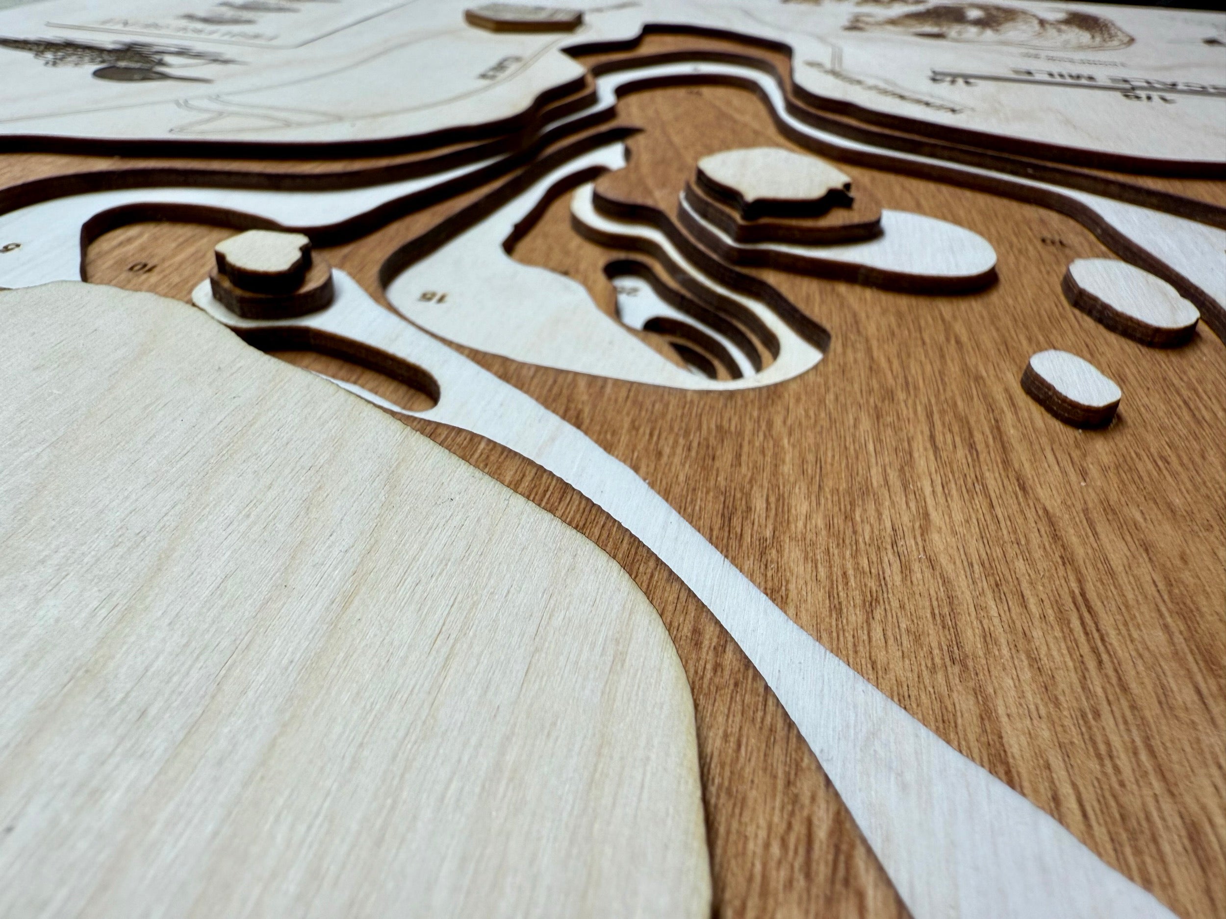 Ninemile Lake Minnesota wood topographic map with detailed contours