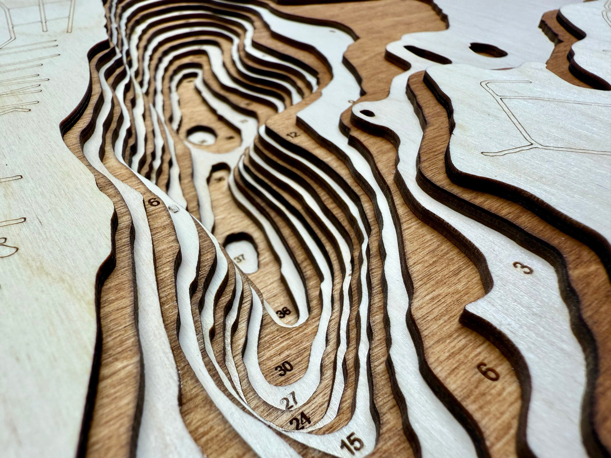 Owasso Lake Minnesota wood topographic map with detailed contours