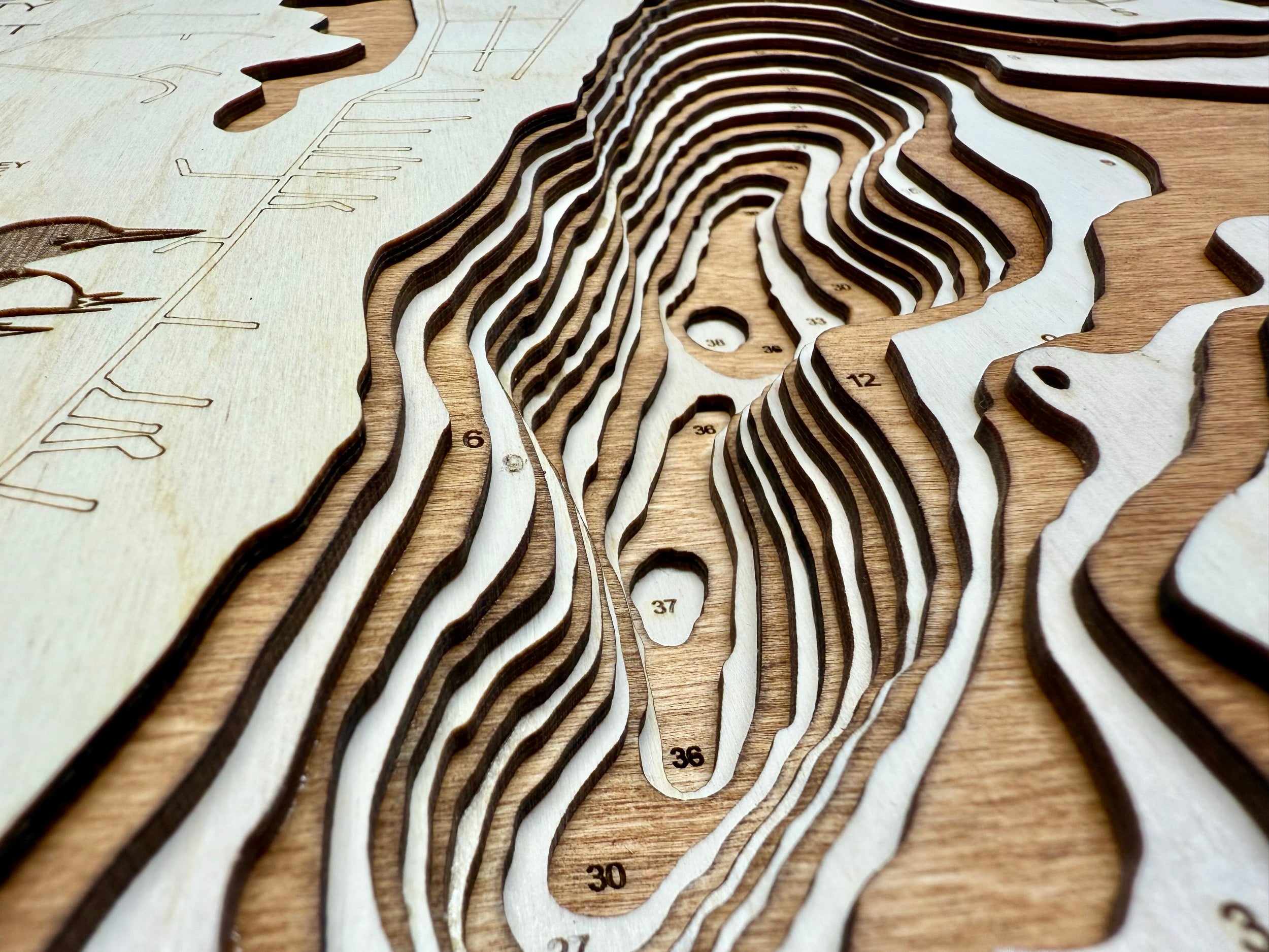 Owasso Lake Minnesota wood topographic map detail with depth contours