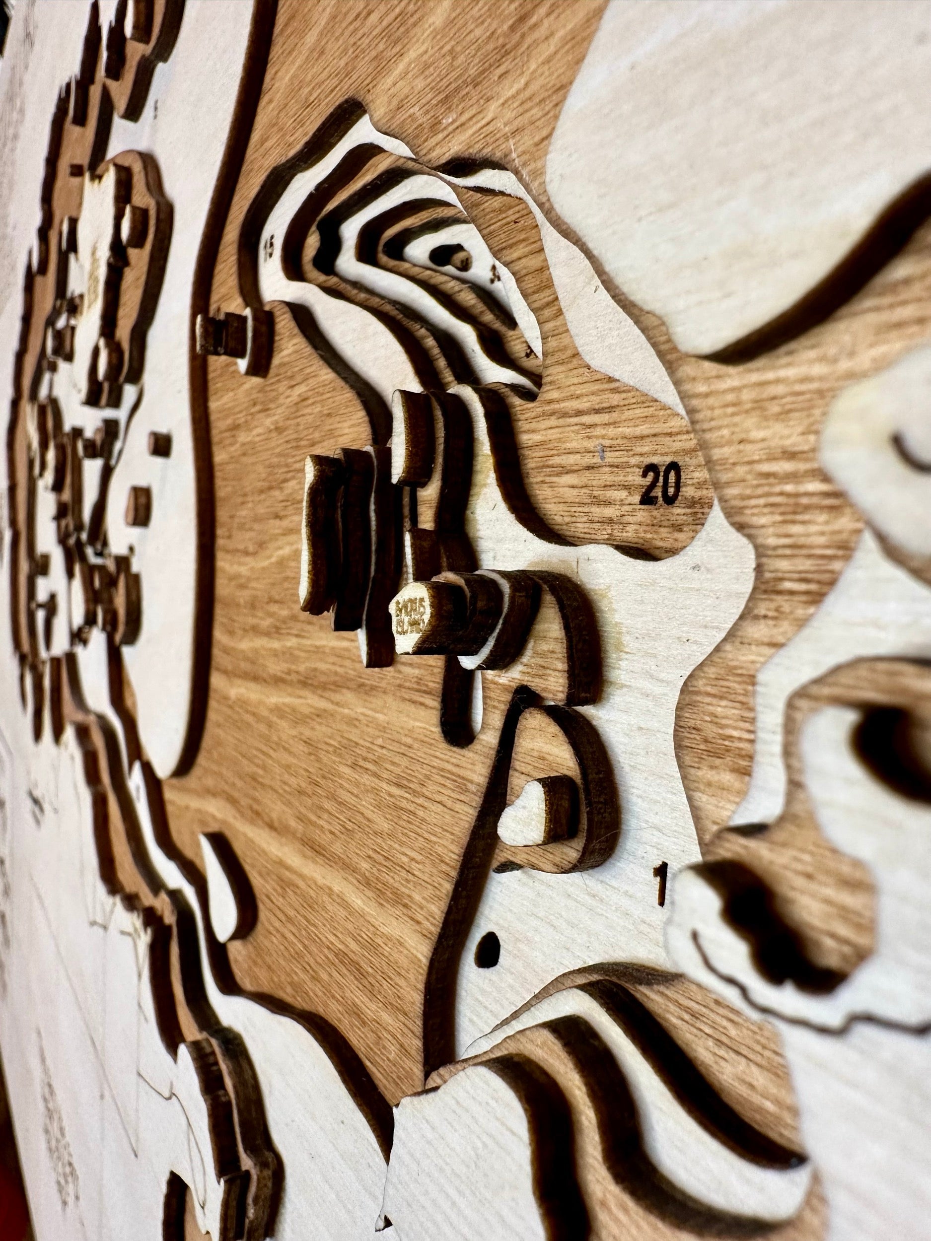 Pelican Lake Minnesota wood topographic map detail showing depth contours