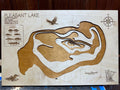 Pleasant Lake near Annandale Wright County Minnesota laser-cut wood topographic map